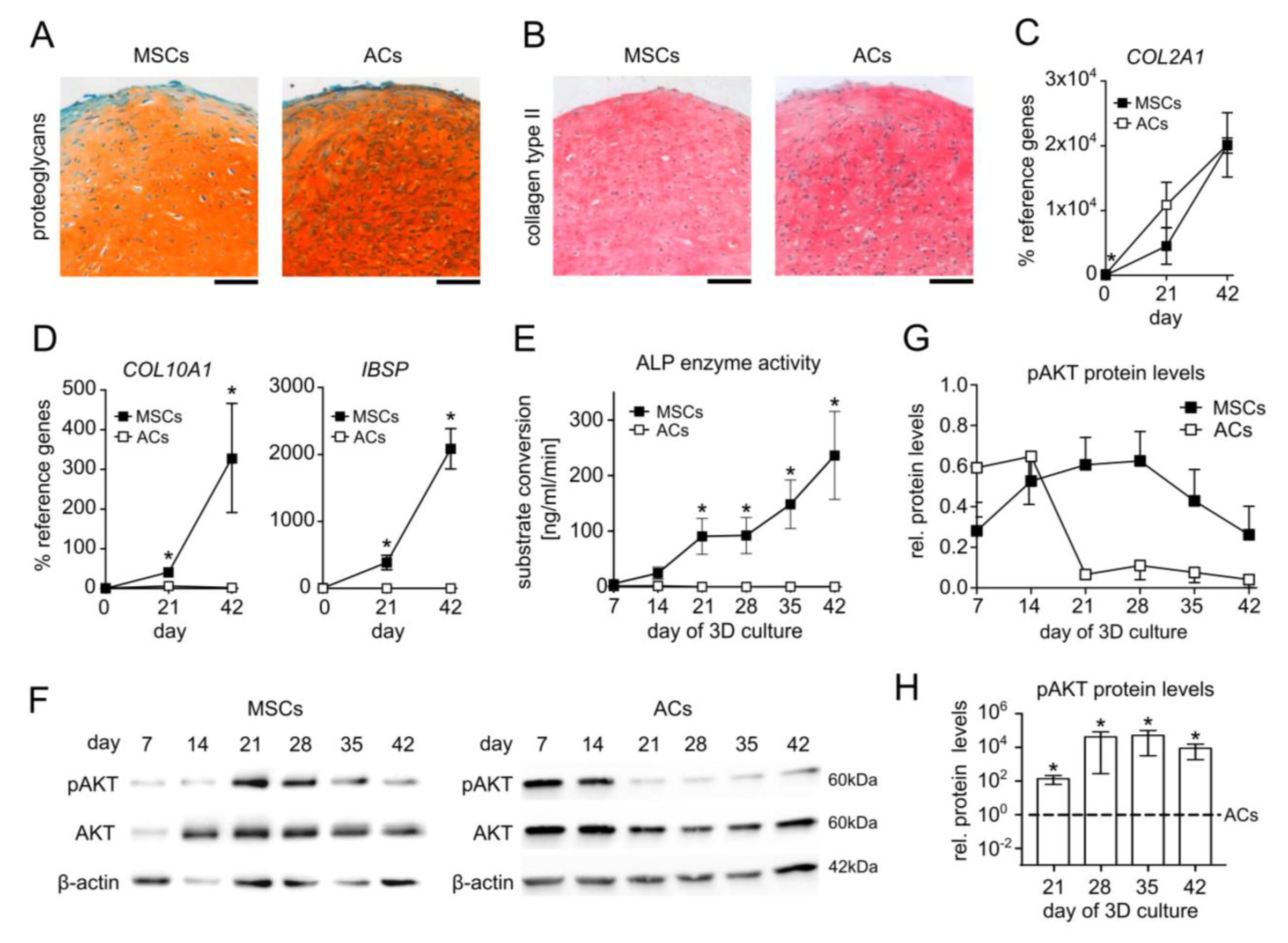 Cells 11 02965 g001 Cells 11 02965 g001