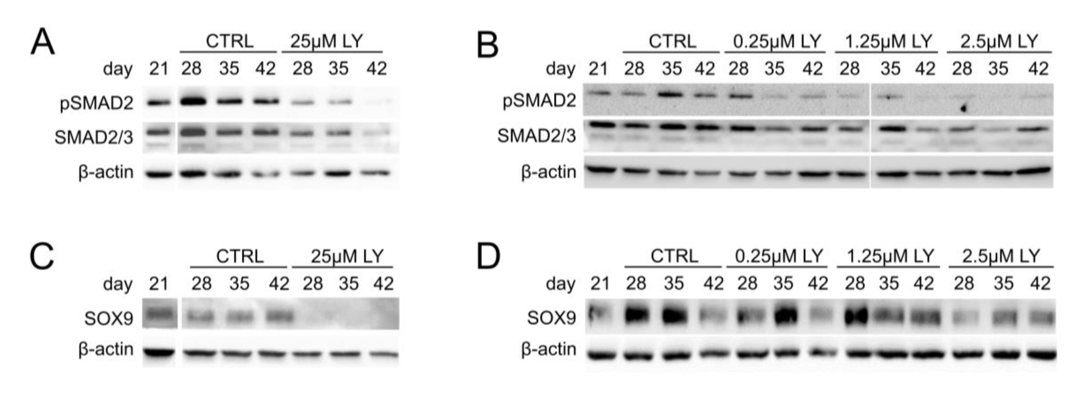 Cells 11 02965 g005 Cells 11 02965 g005