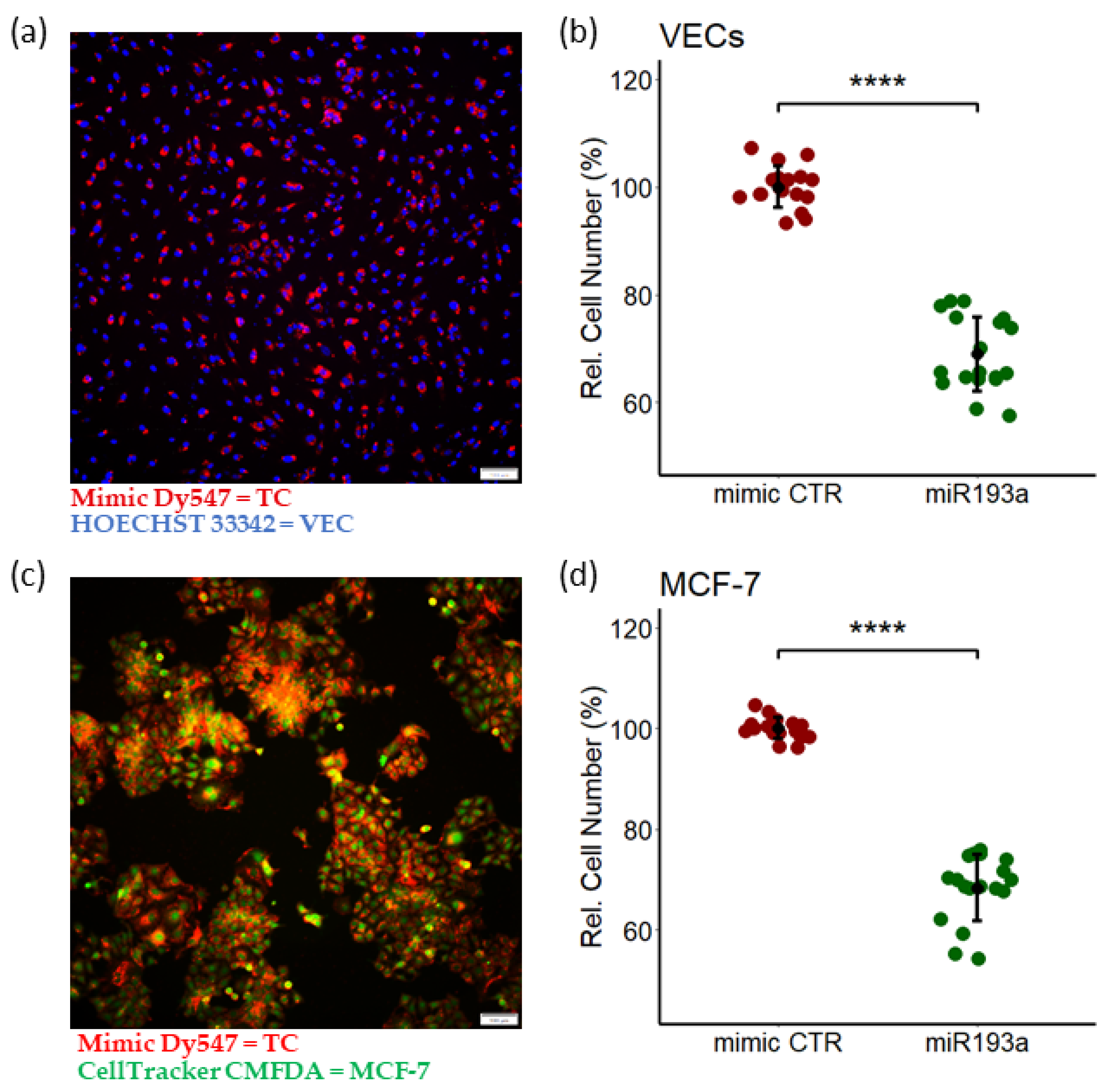 Cells 11 02967 g002 Cells 11 02967 g002