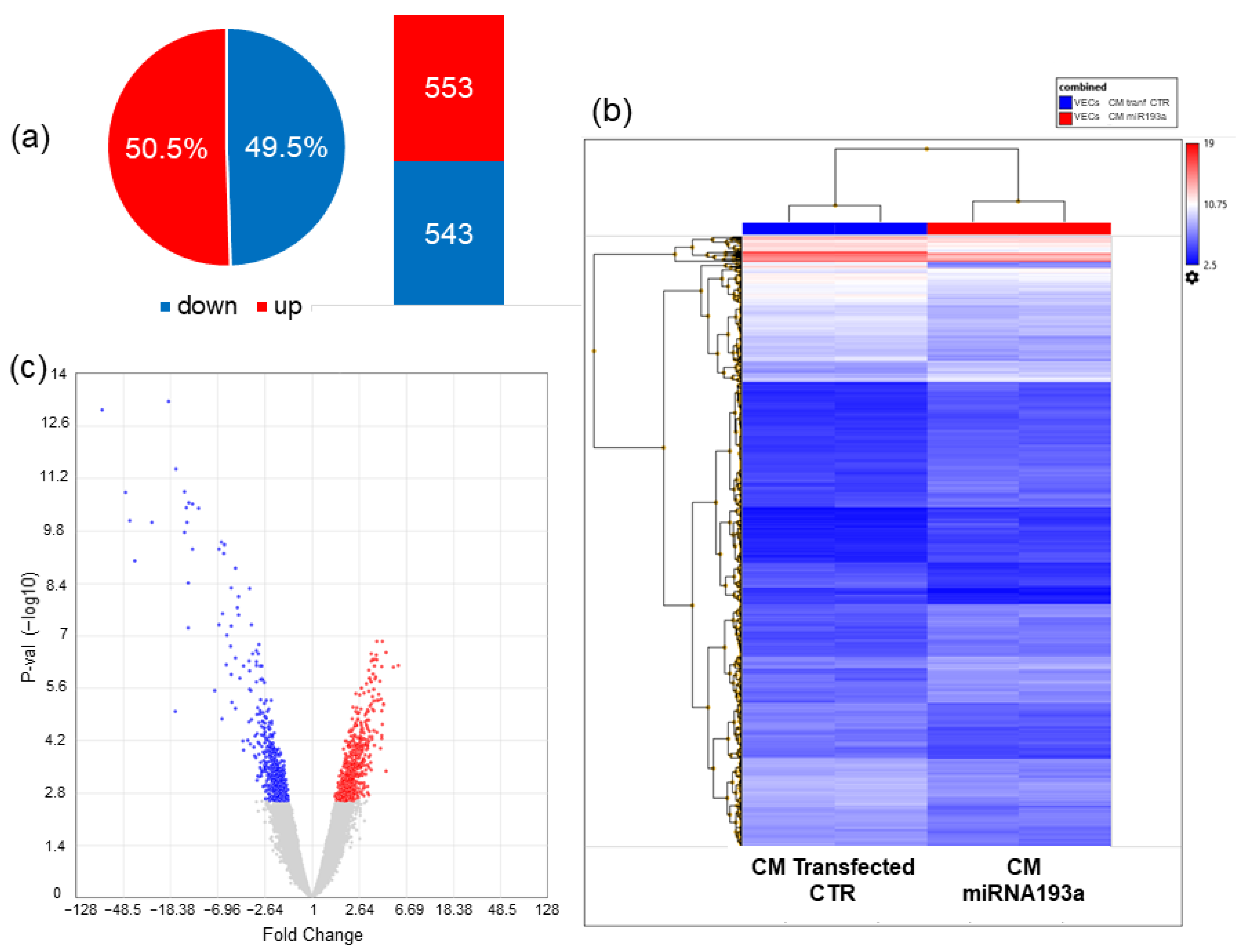 Cells 11 02967 g007 Cells 11 02967 g007