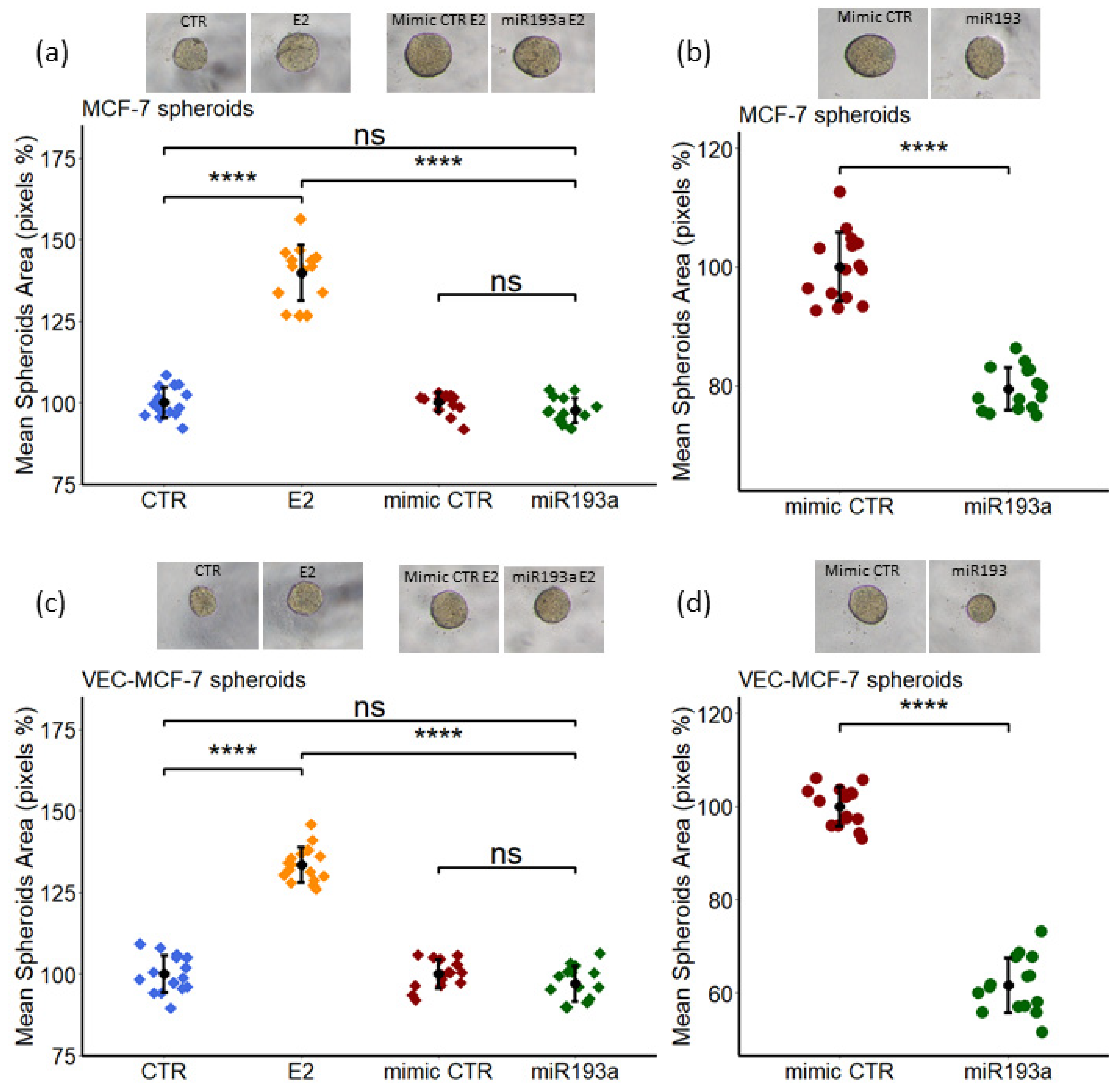 Cells 11 02967 g012 Cells 11 02967 g012