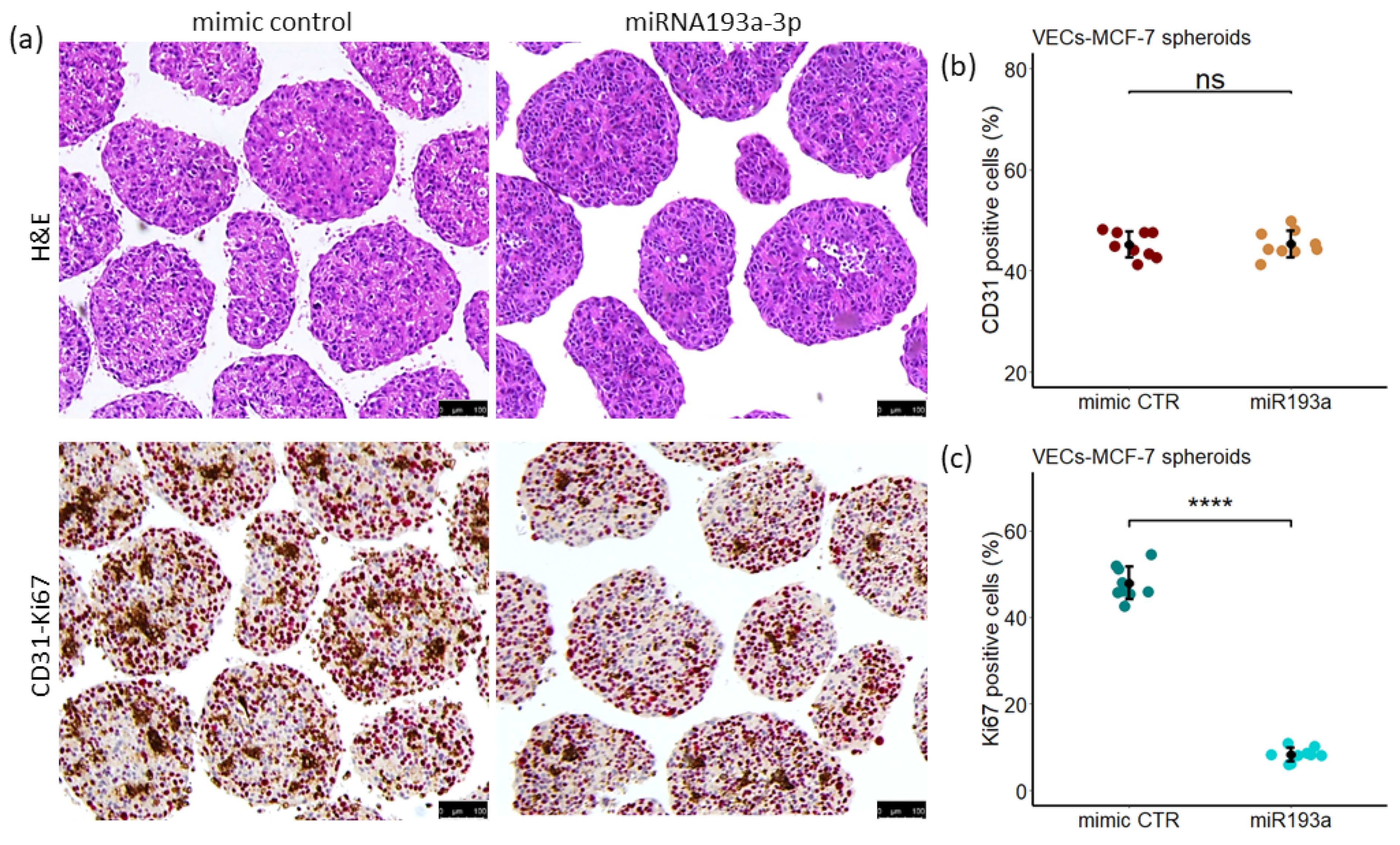 Cells 11 02967 g013 Cells 11 02967 g013