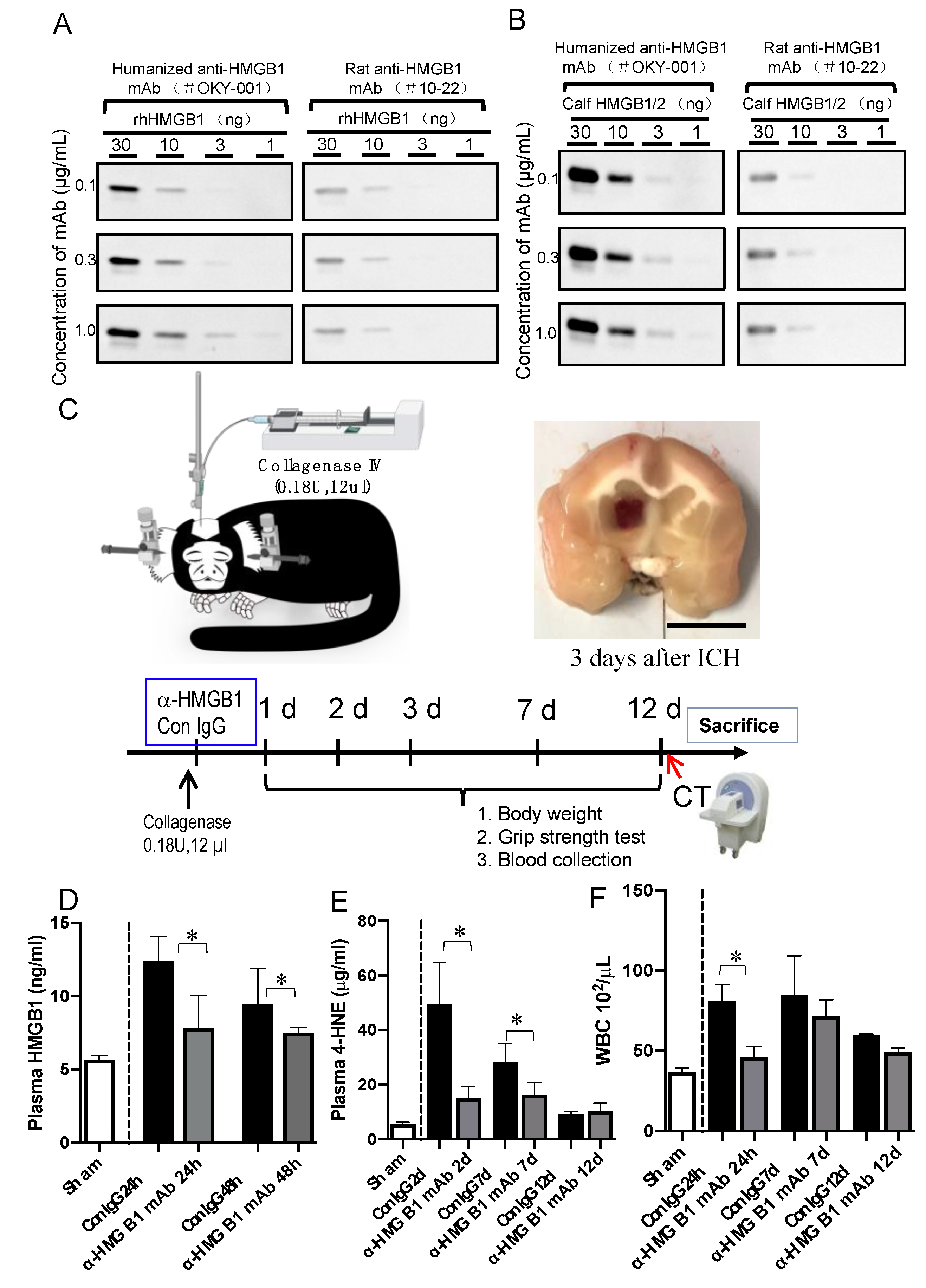 Cells 11 02970 g001 Cells 11 02970 g001