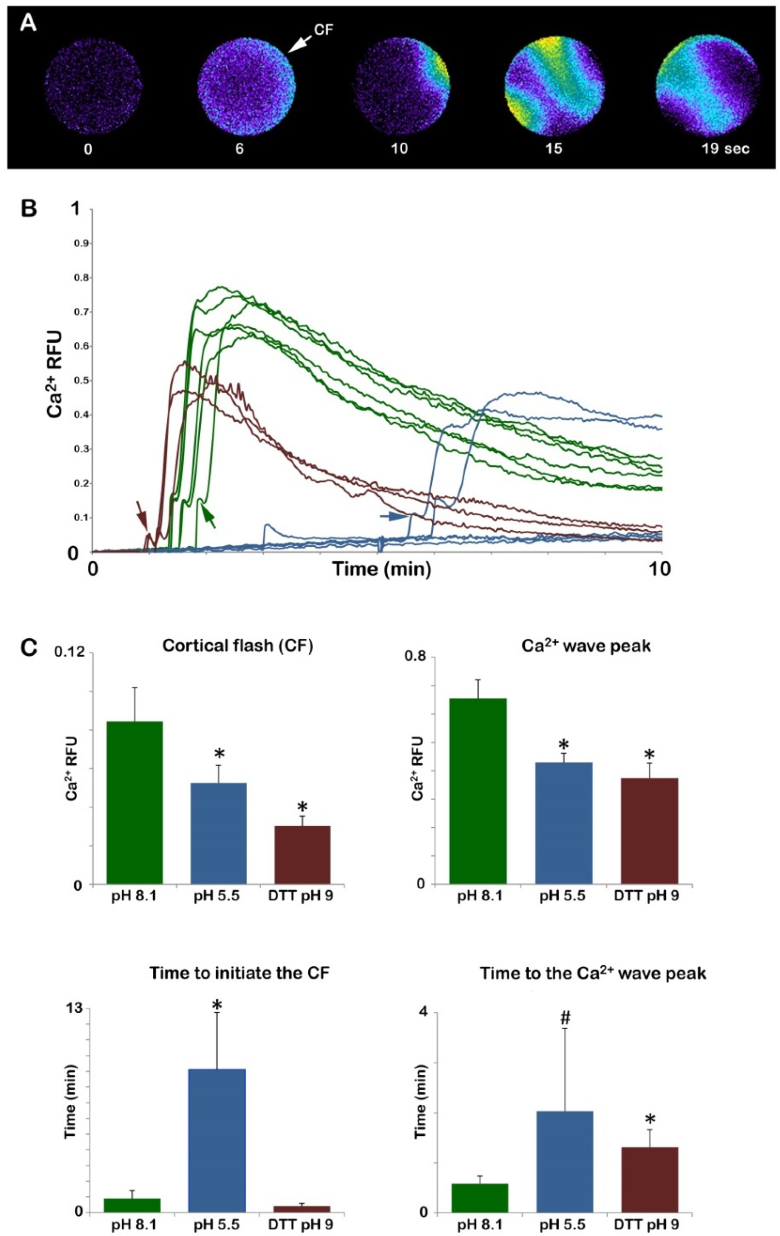 Cells 11 02984 g004 Cells 11 02984 g004