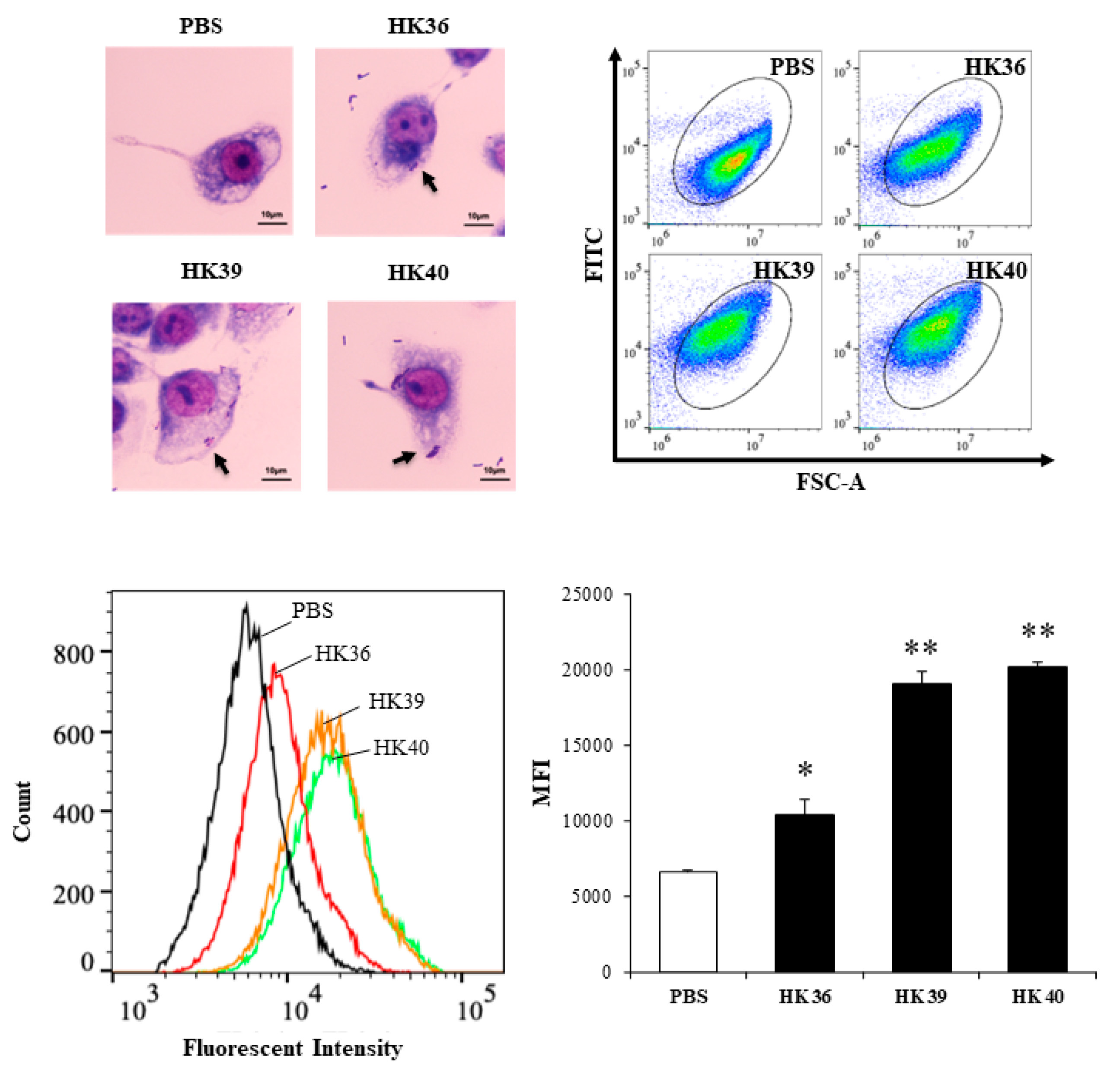 Cells 11 02986 g005 Cells 11 02986 g005