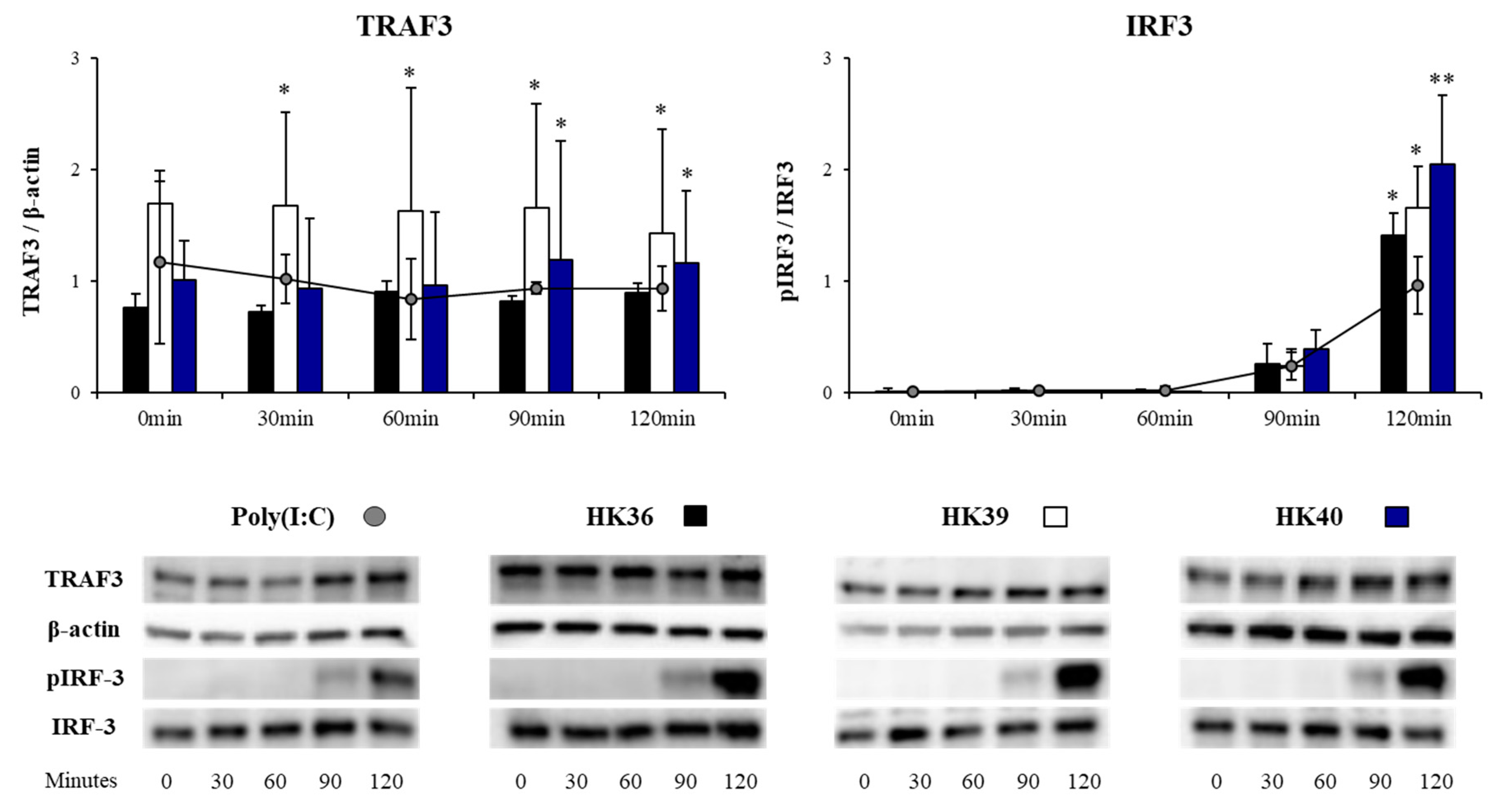 Cells 11 02986 g008 Cells 11 02986 g008