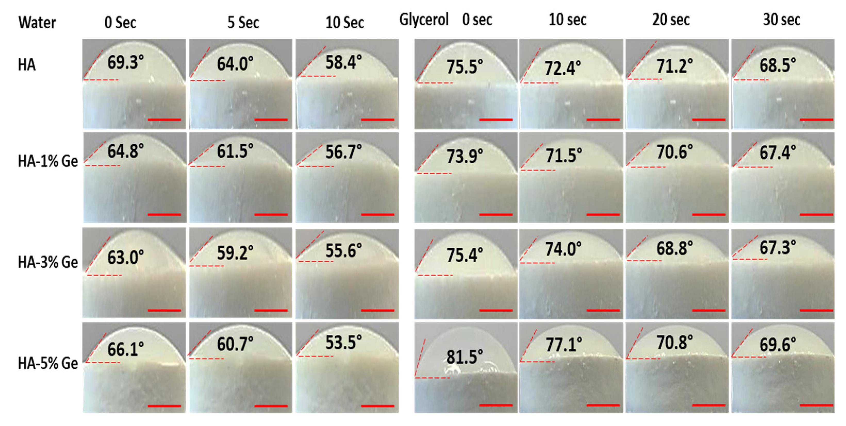 Cells 11 02993 g006 Cells 11 02993 g006