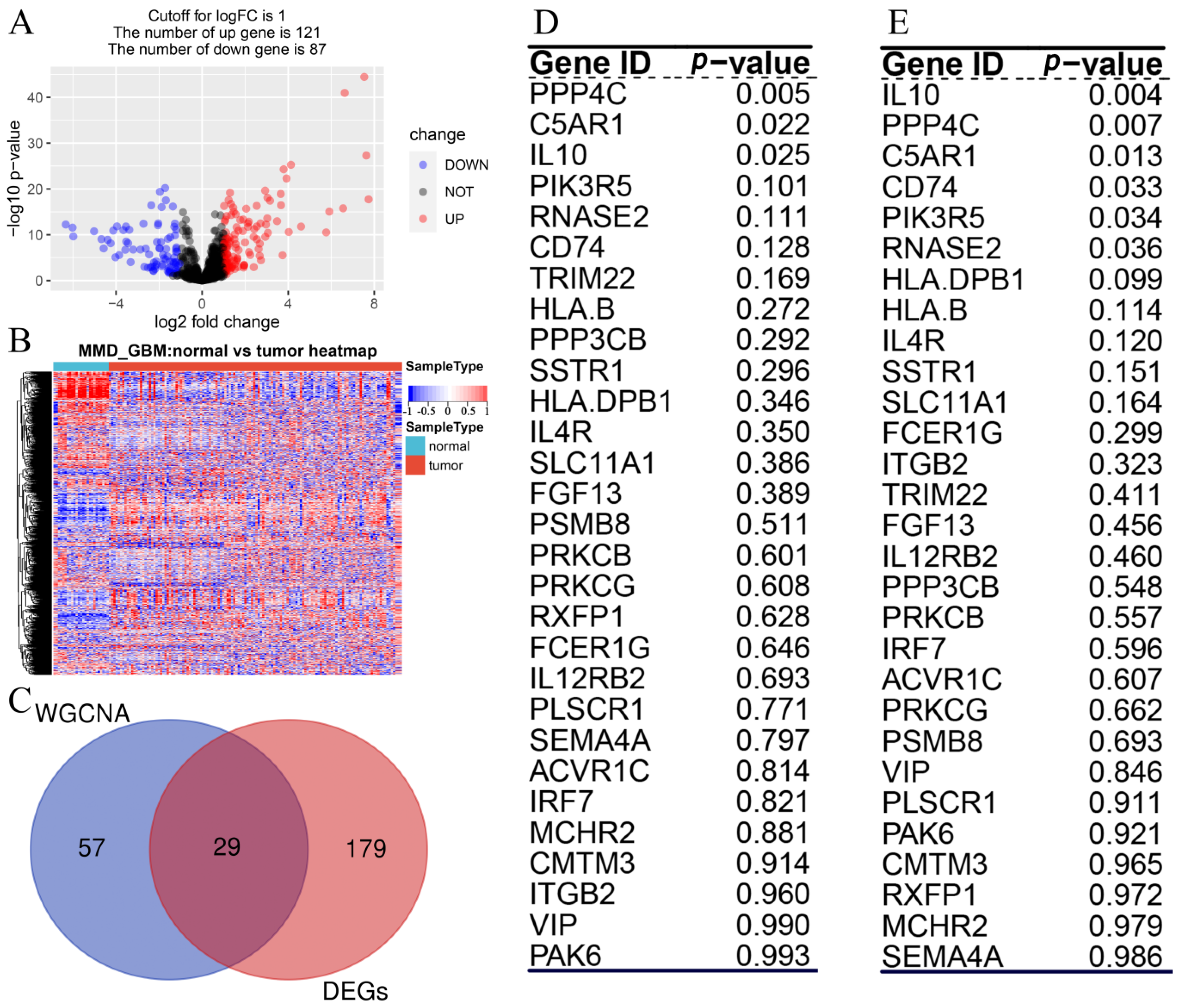 Cells 11 03000 g003 Cells 11 03000 g003