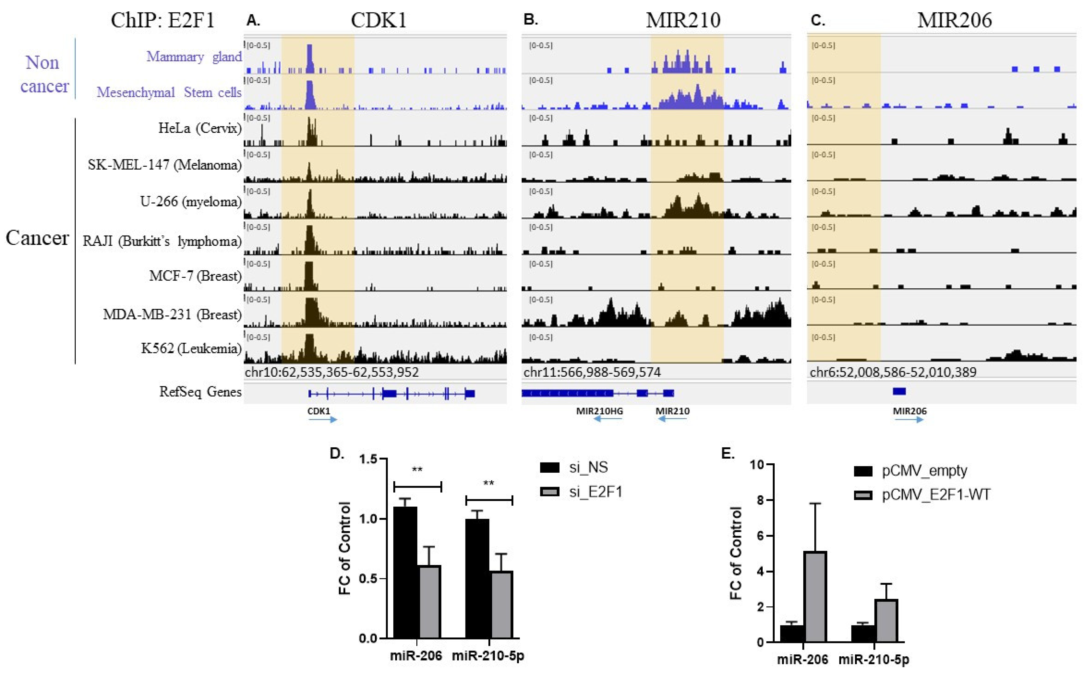 Cells 11 03046 g005 Cells 11 03046 g005