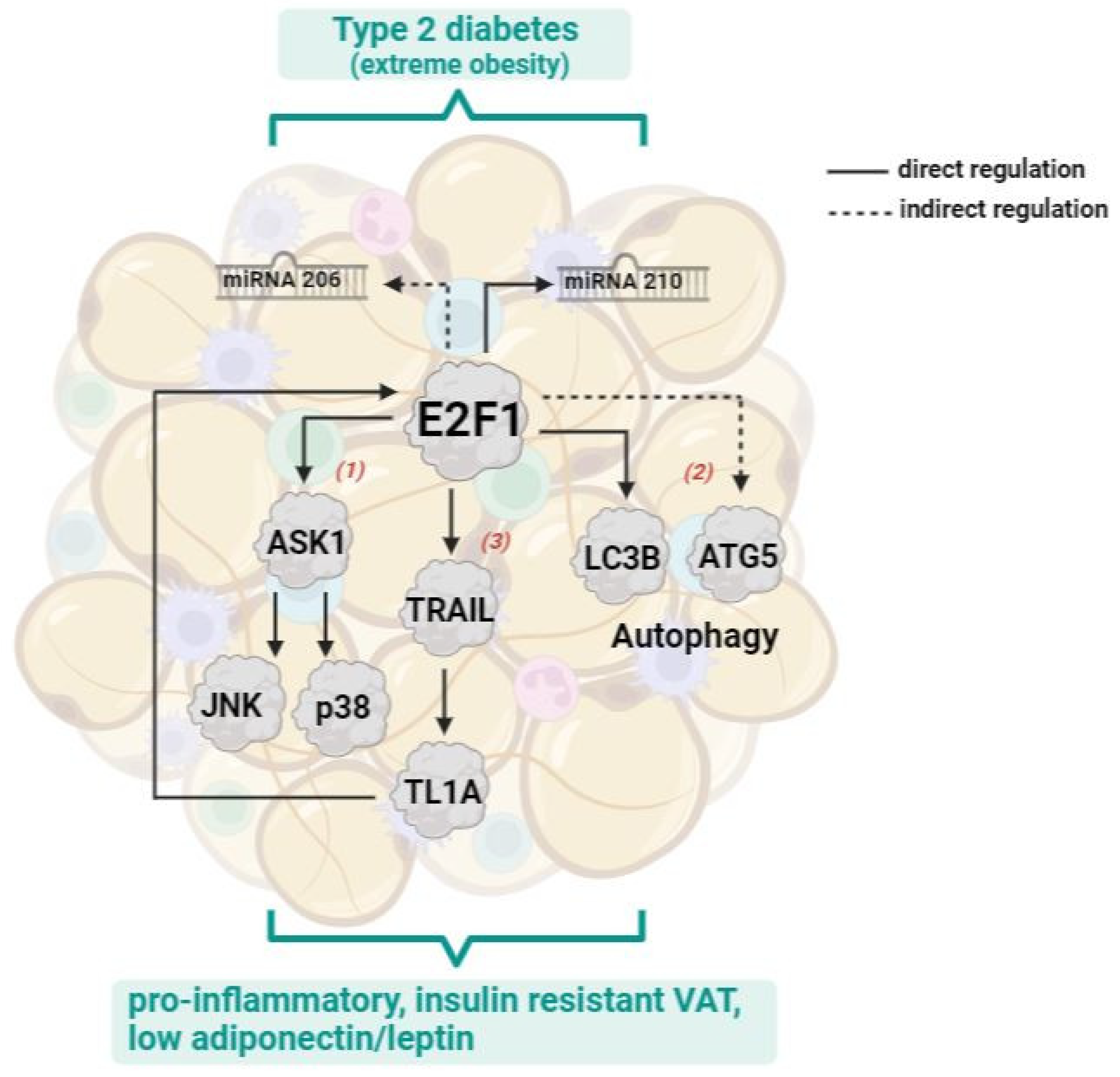 Cells 11 03046 sch001 Cells 11 03046 sch001