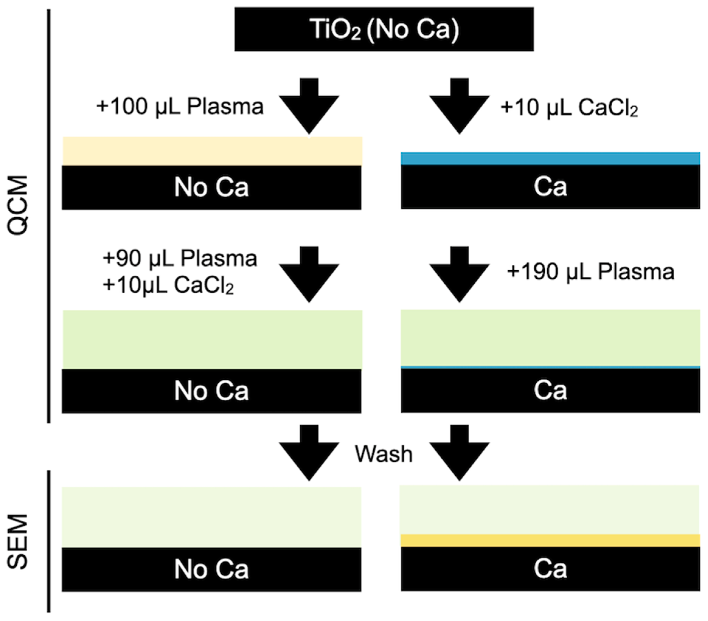 Cells 11 03048 g001 Cells 11 03048 g001