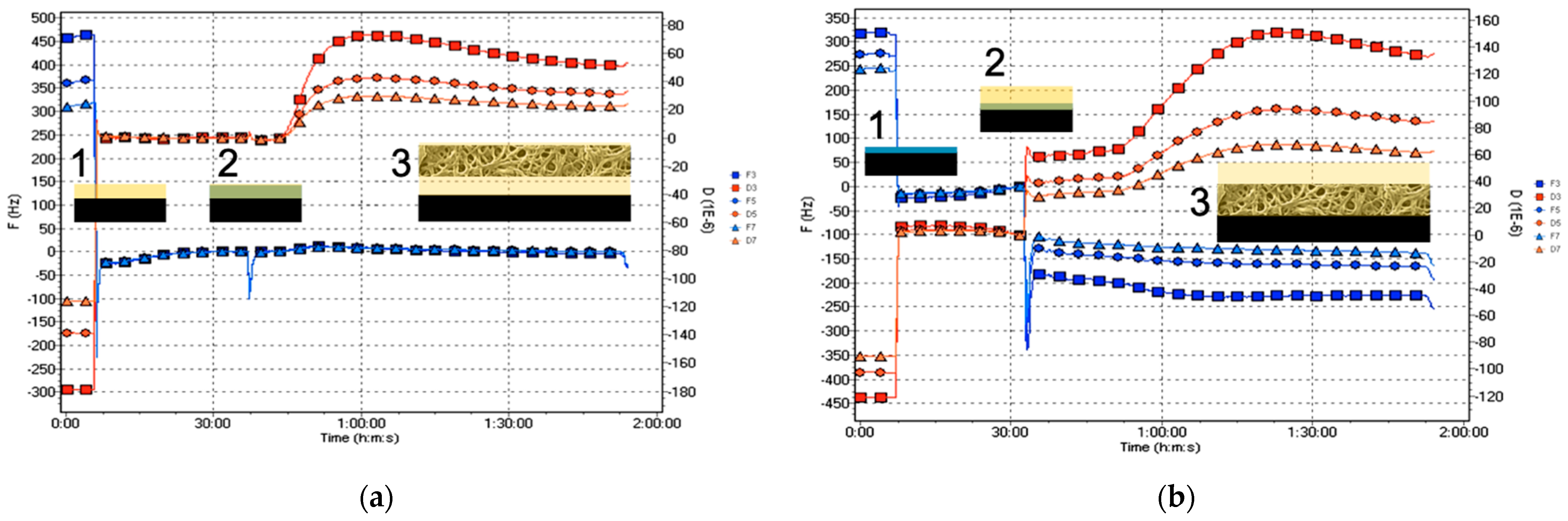 Cells 11 03048 g002 Cells 11 03048 g002