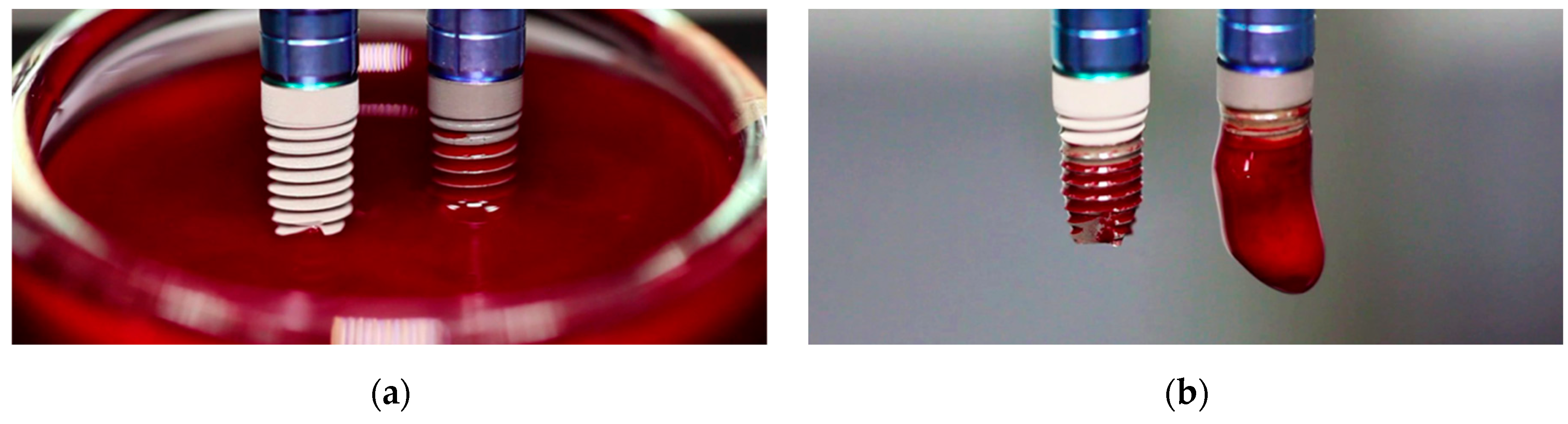 Cells 11 03048 g005 Cells 11 03048 g005