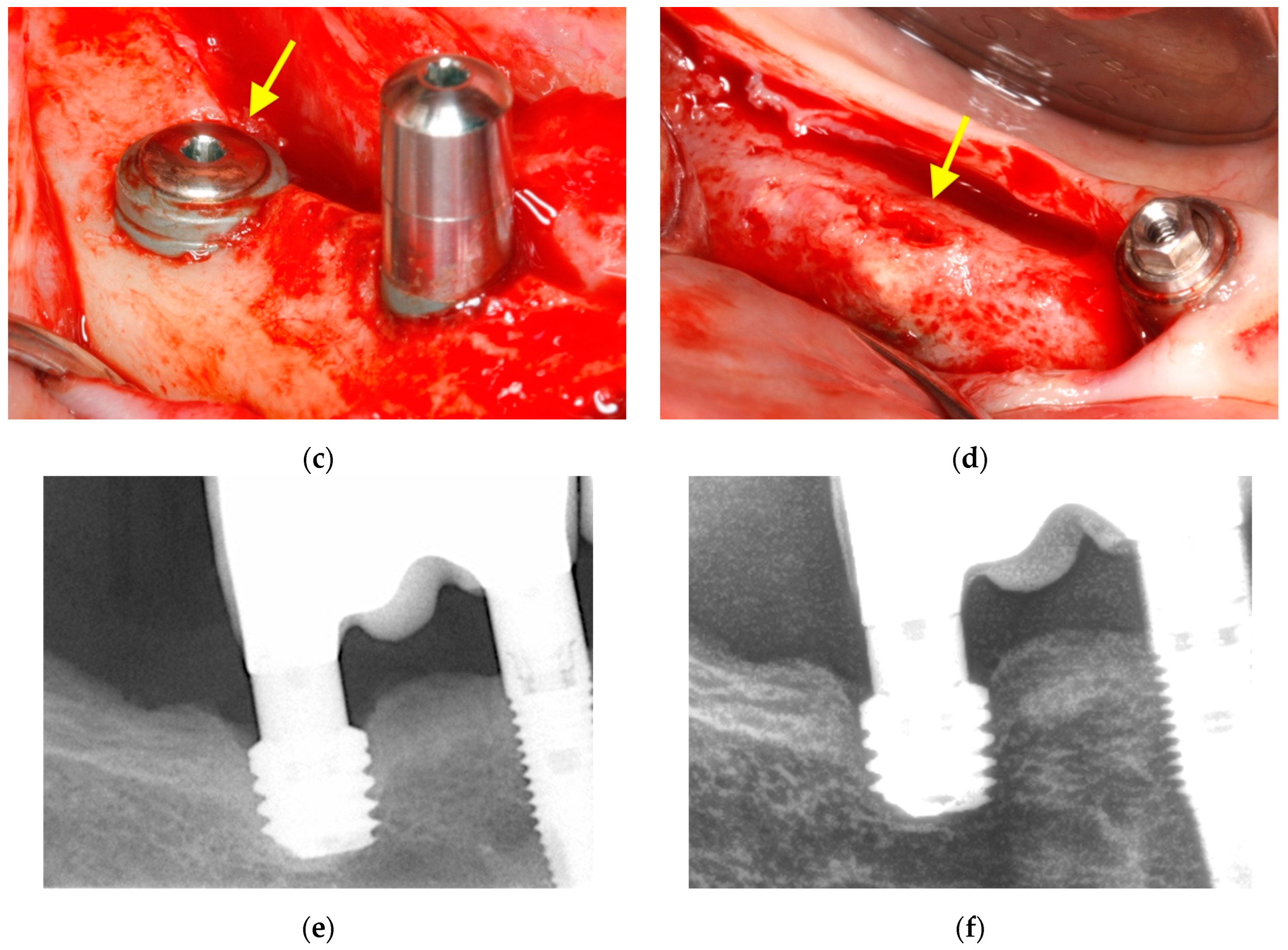 Cells 11 03048 g007b Cells 11 03048 g007b