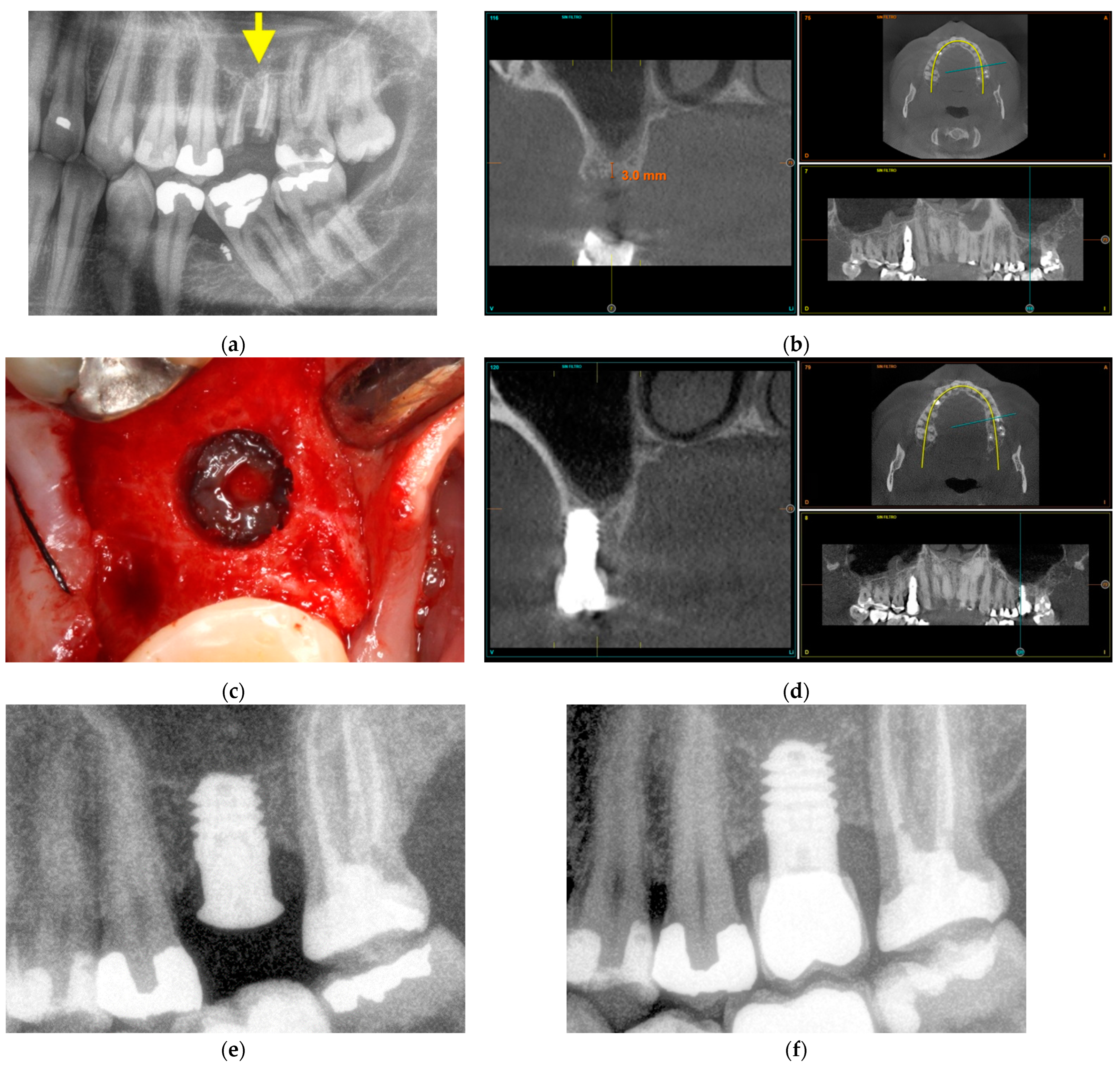 Cells 11 03048 g008 Cells 11 03048 g008