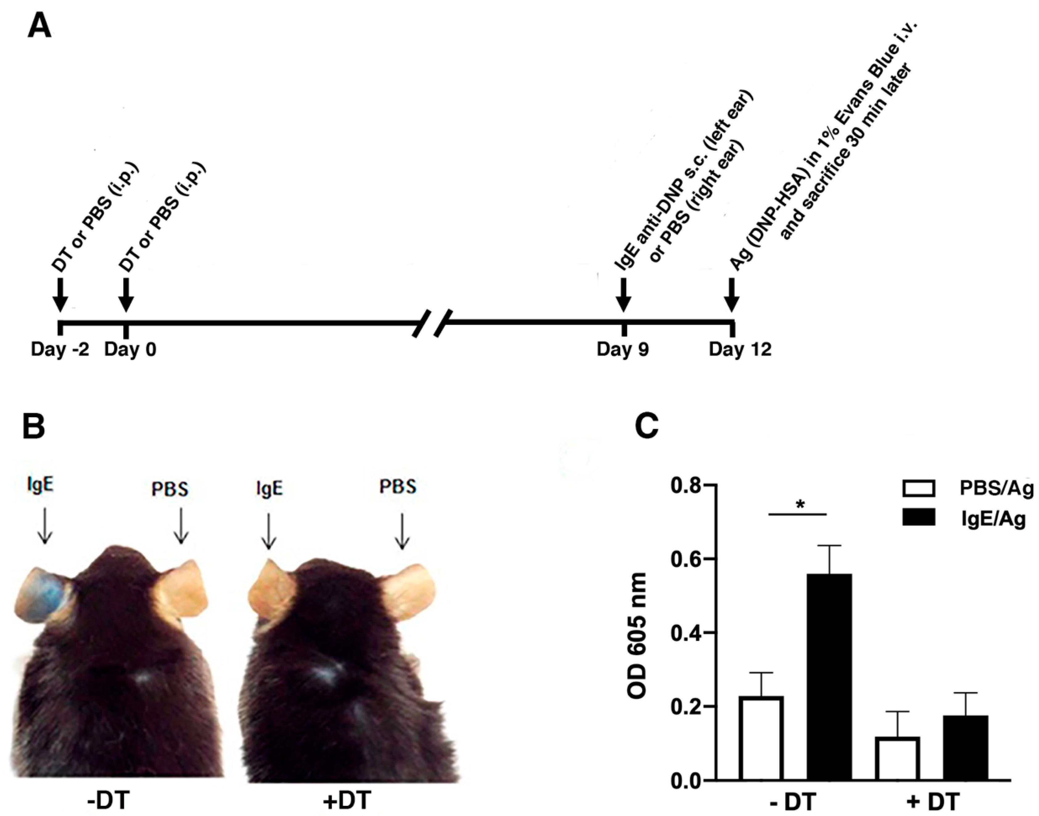Cells 11 03055 g002 Cells 11 03055 g002