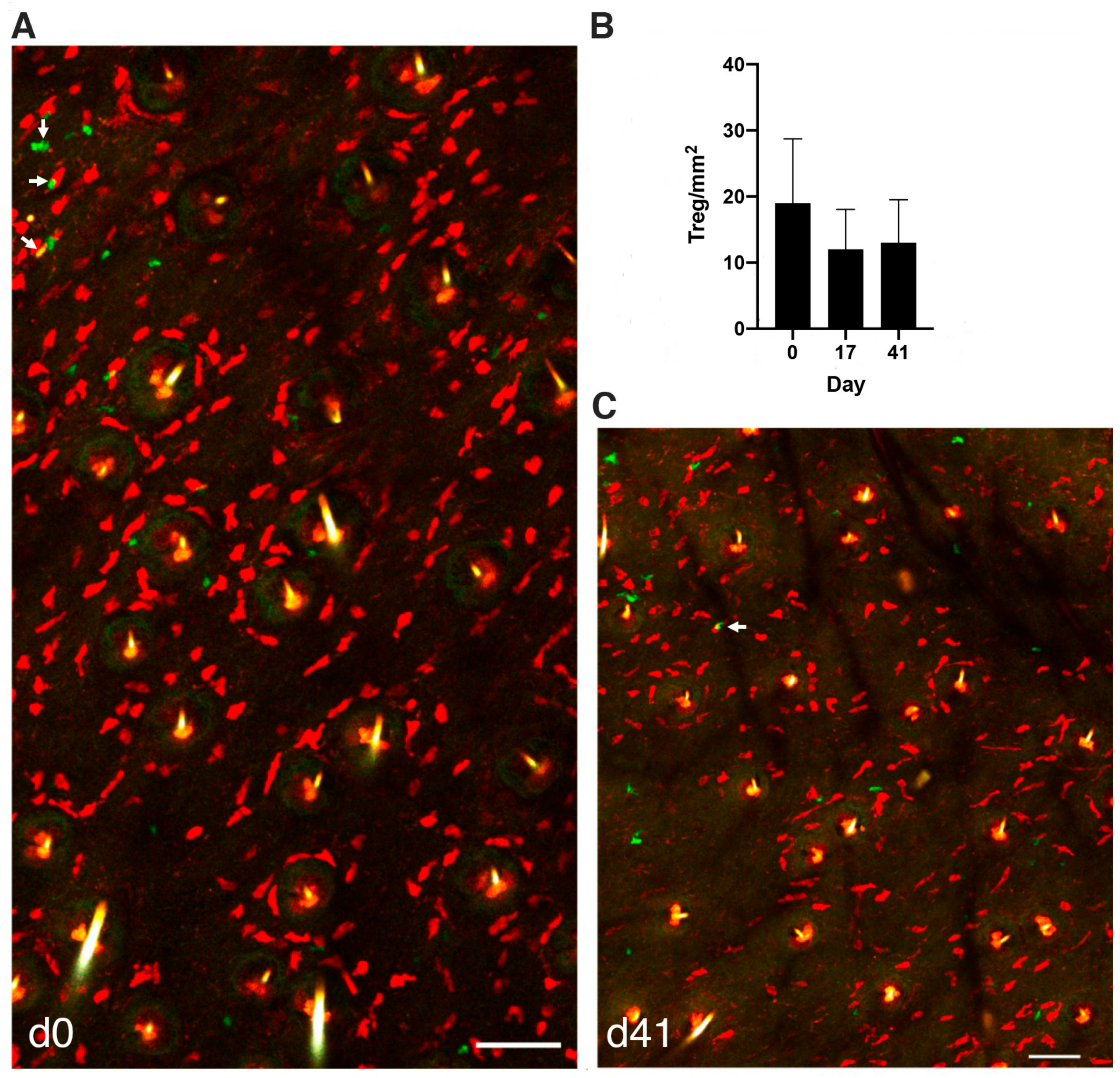 Cells 11 03055 g003 Cells 11 03055 g003