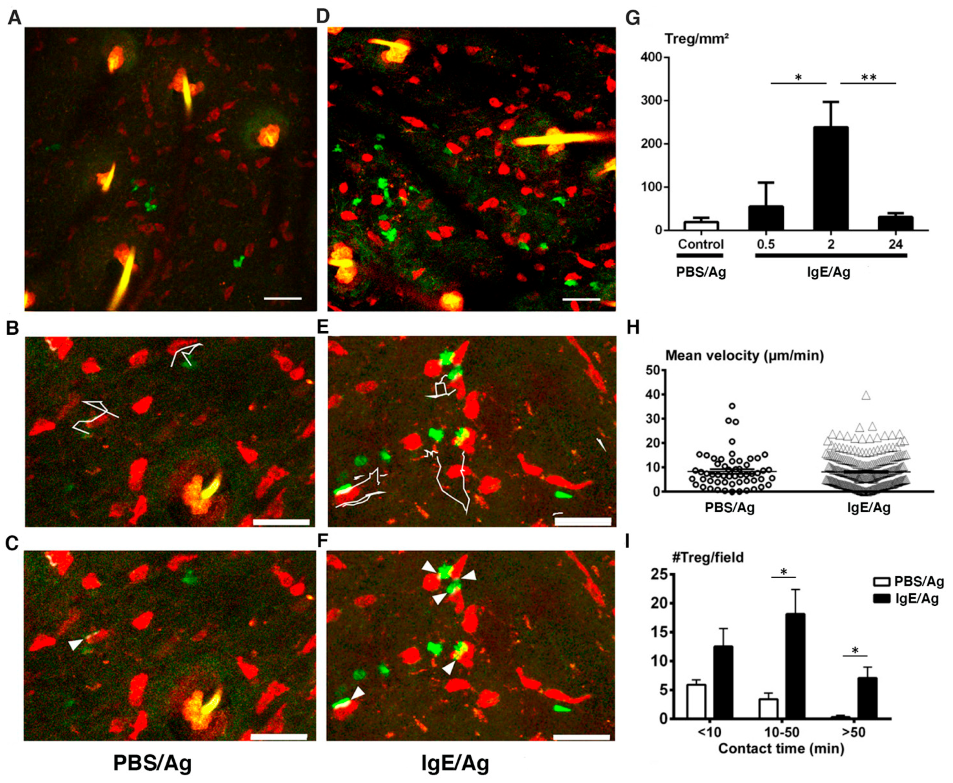 Cells 11 03055 g004 Cells 11 03055 g004