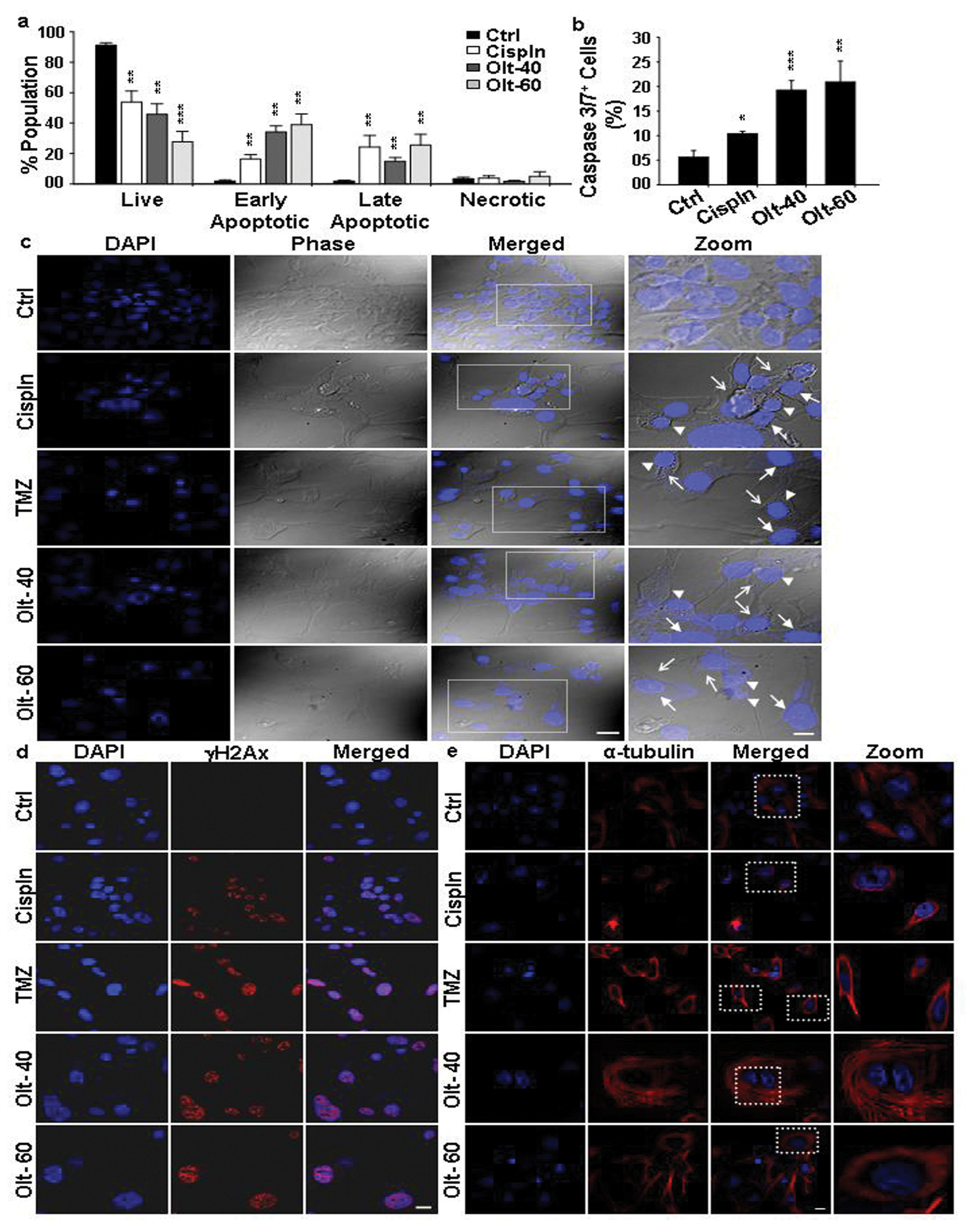 Cells 11 03057 g002 Cells 11 03057 g002