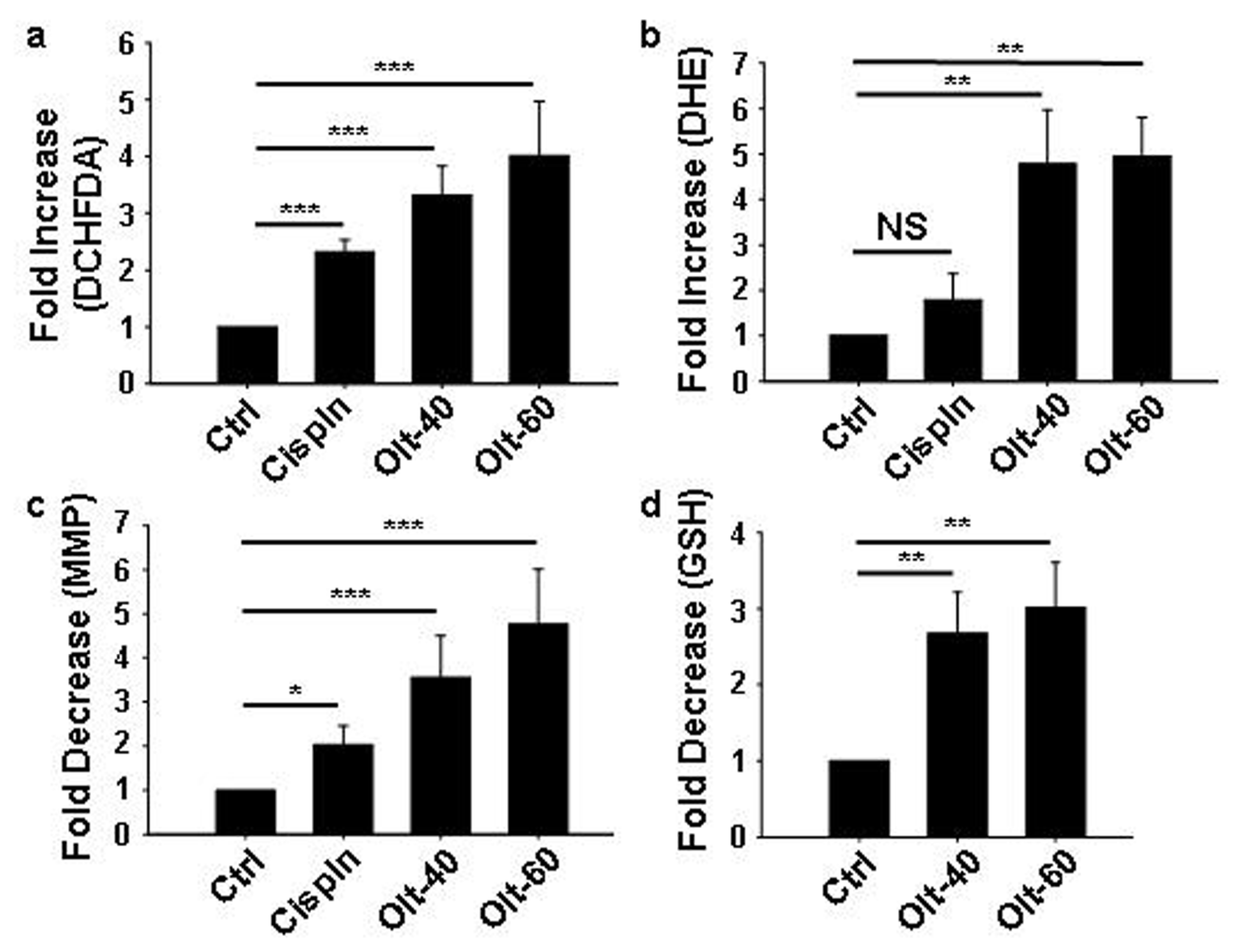 Cells 11 03057 g003 Cells 11 03057 g003