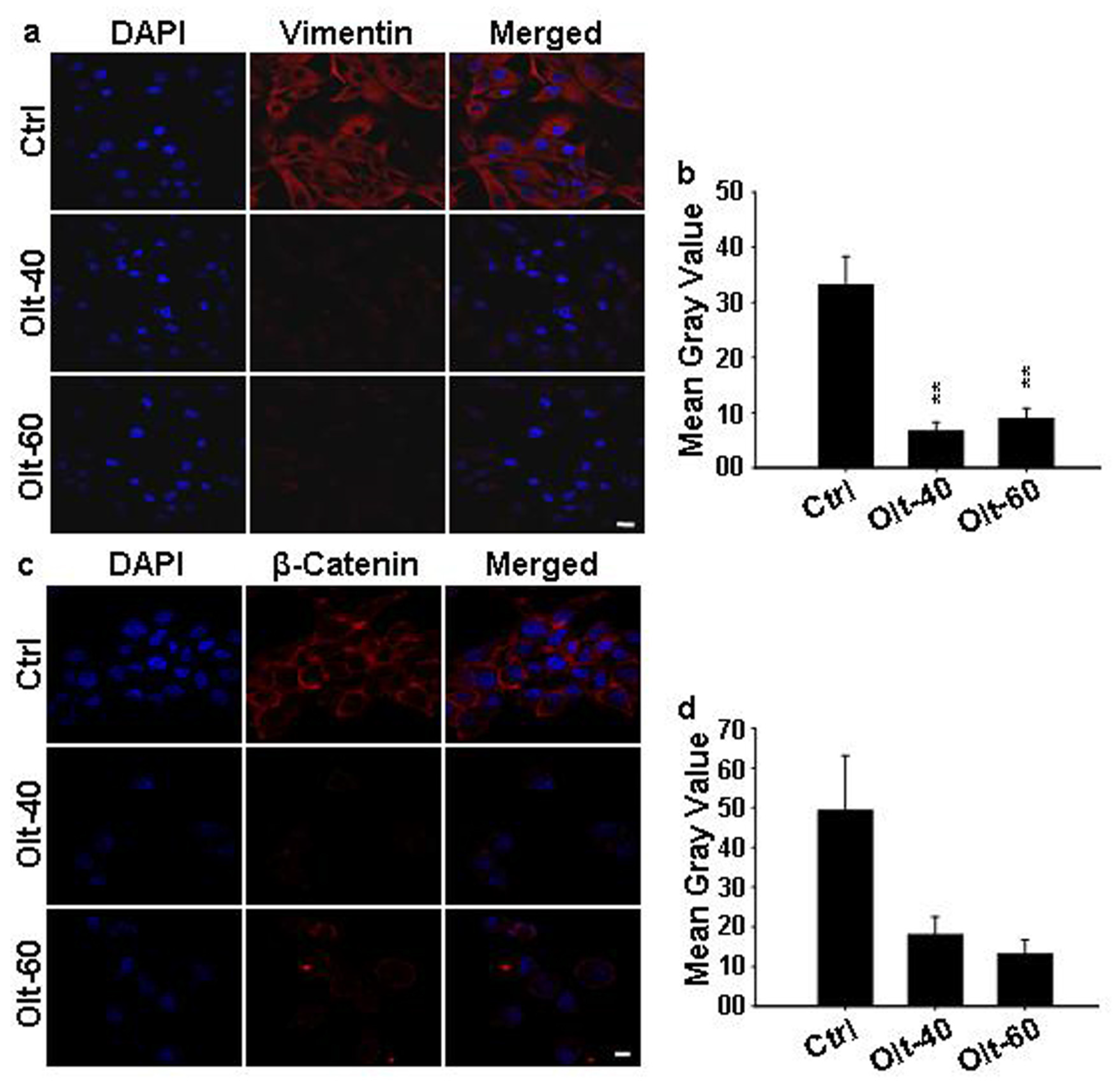 Cells 11 03057 g005 Cells 11 03057 g005