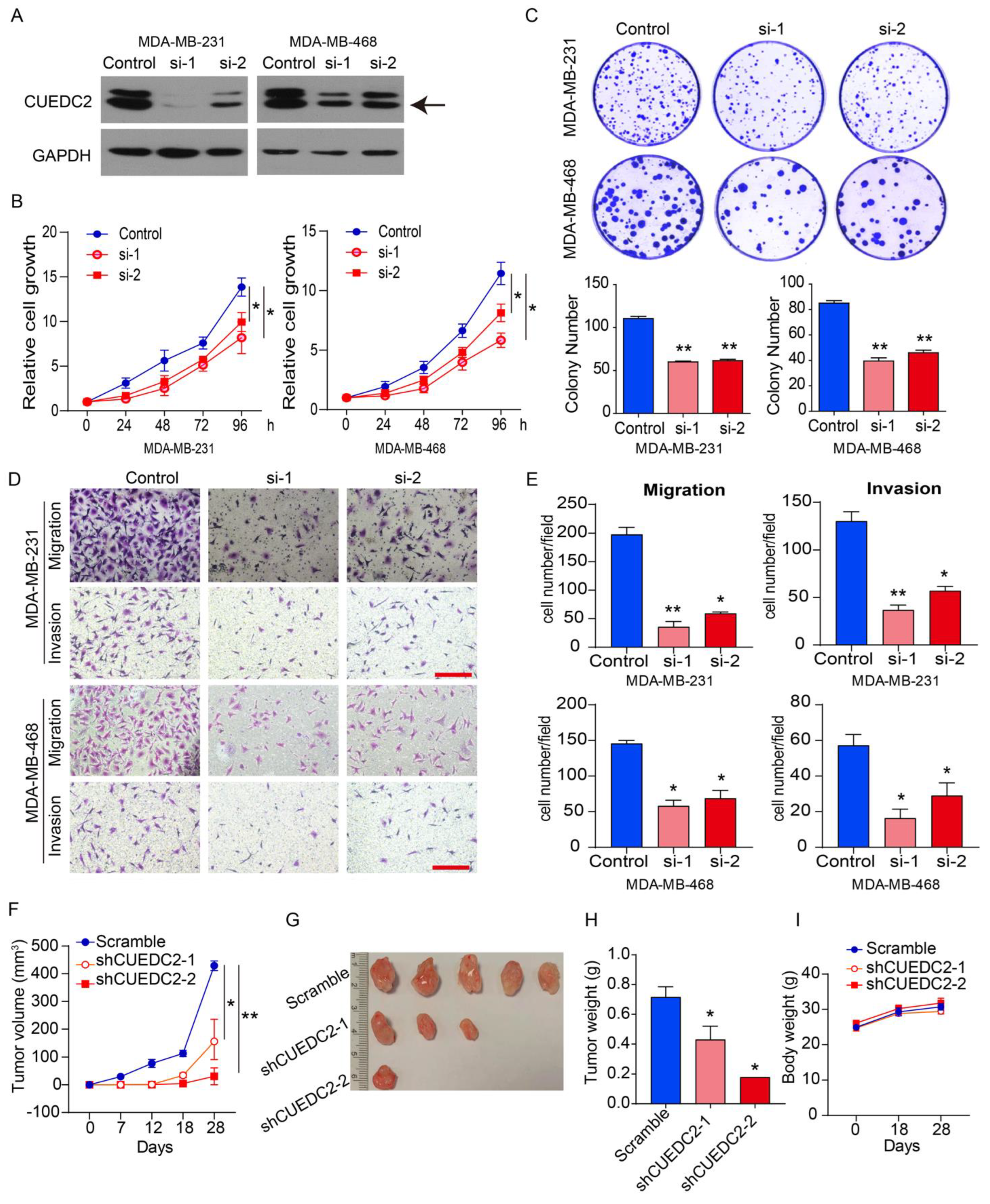 Cells 11 03067 g002 Cells 11 03067 g002
