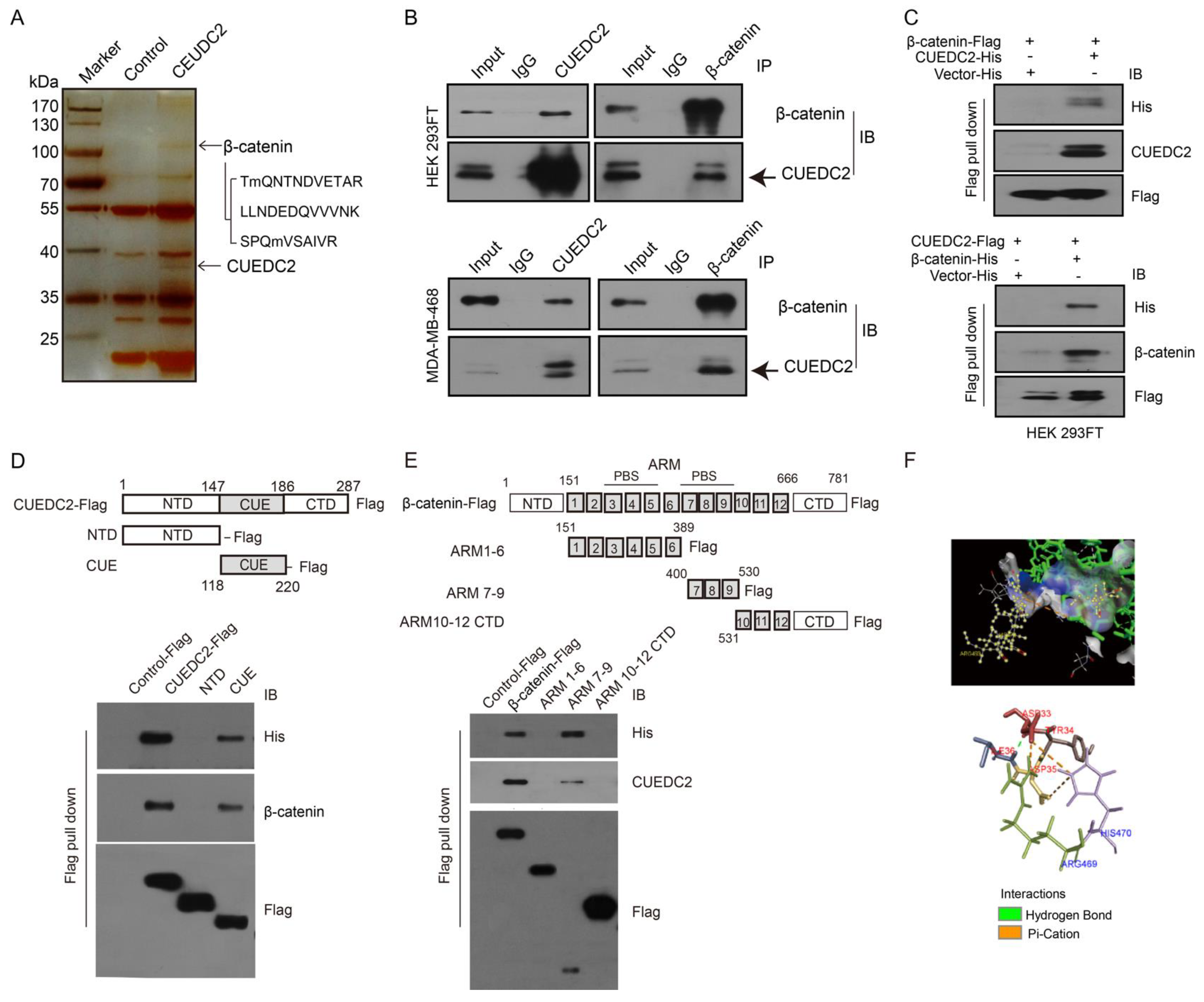 Cells 11 03067 g003 Cells 11 03067 g003