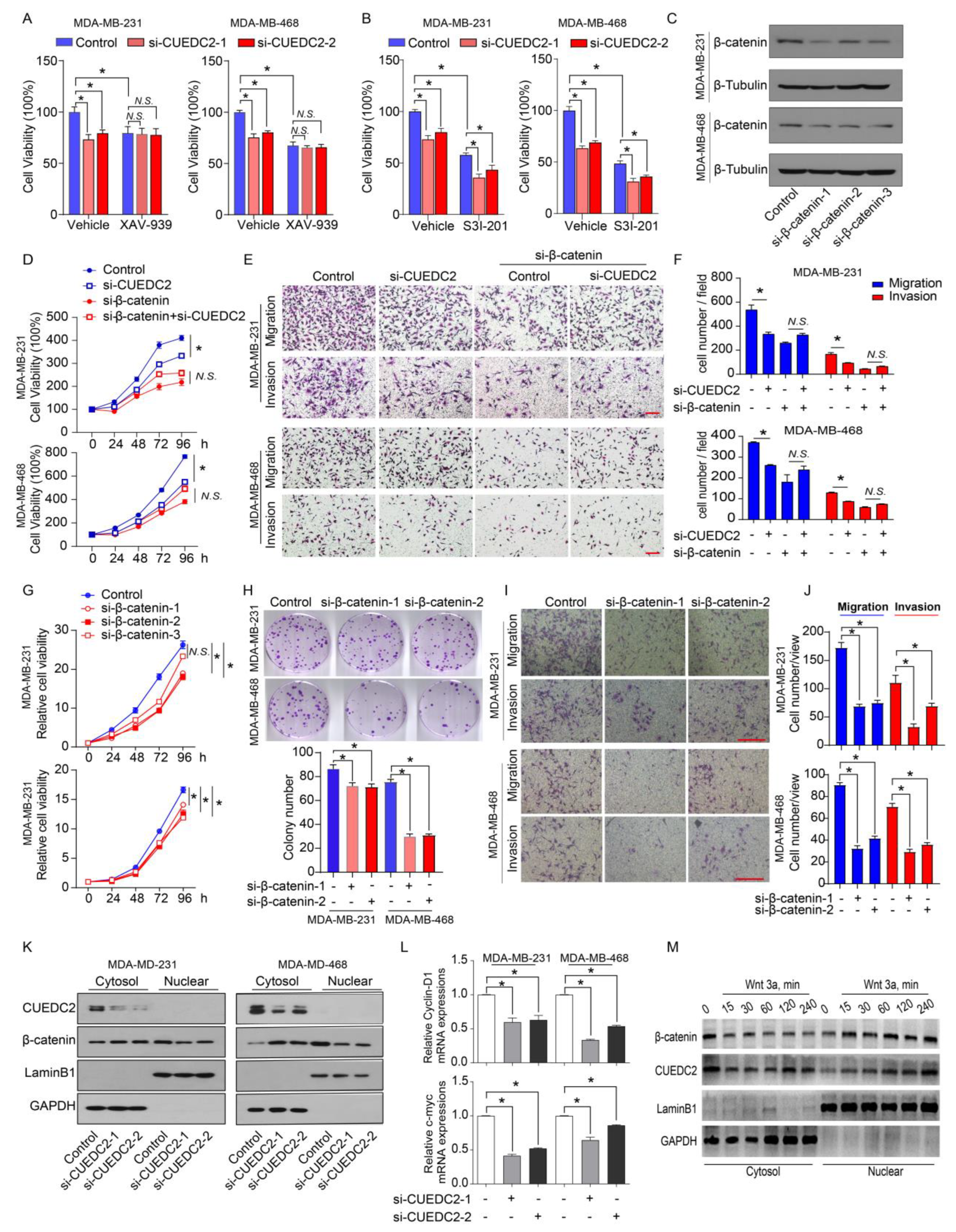 Cells 11 03067 g004 Cells 11 03067 g004