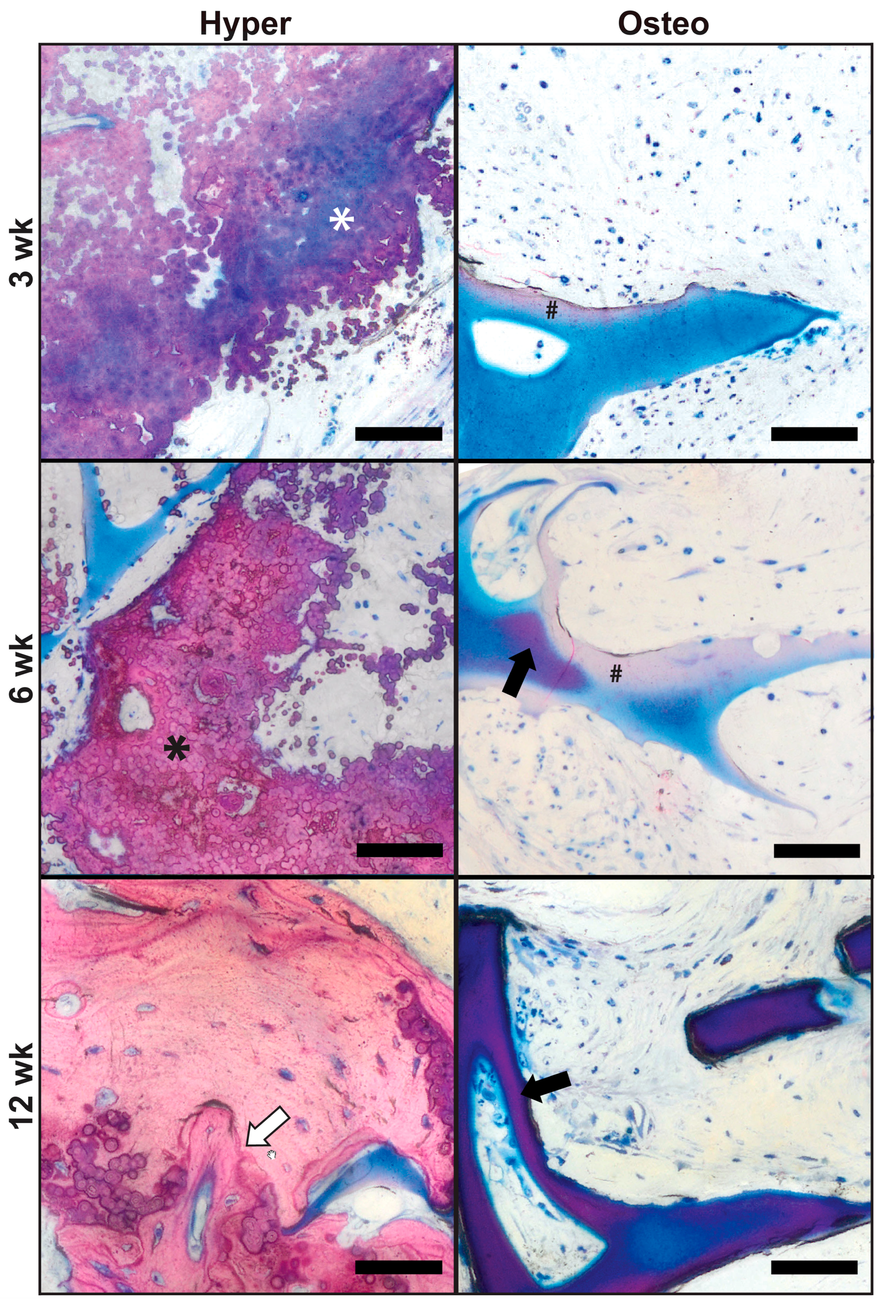 Cells 11 03070 g004 Cells 11 03070 g004
