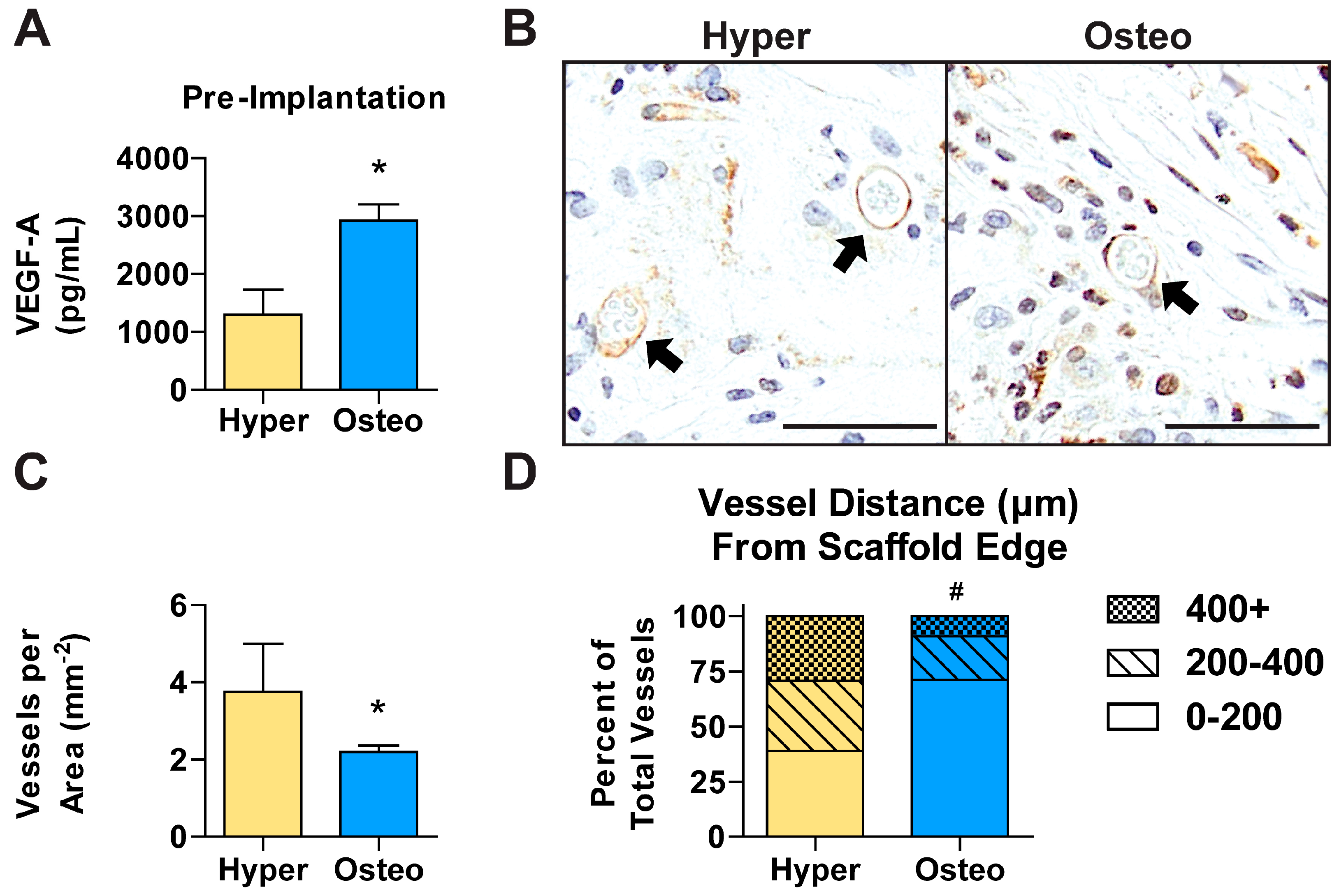 Cells 11 03070 g006 Cells 11 03070 g006
