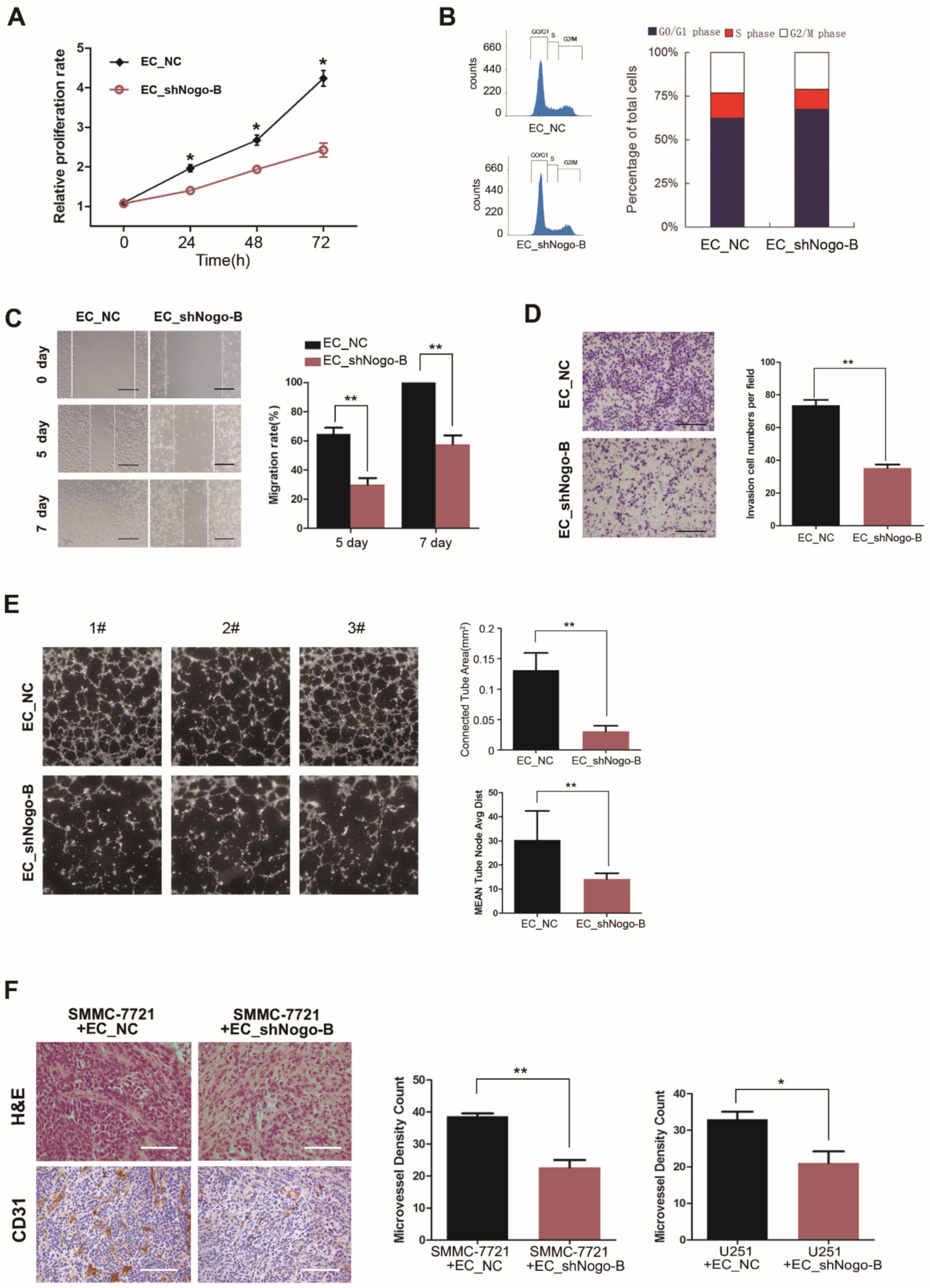 Cells 11 03084 g003 Cells 11 03084 g003