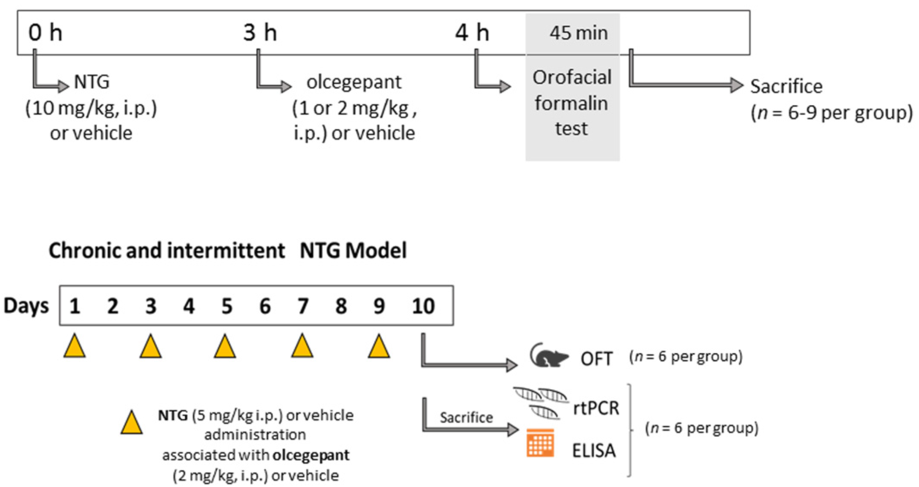 Cells 11 03092 g001 Cells 11 03092 g001