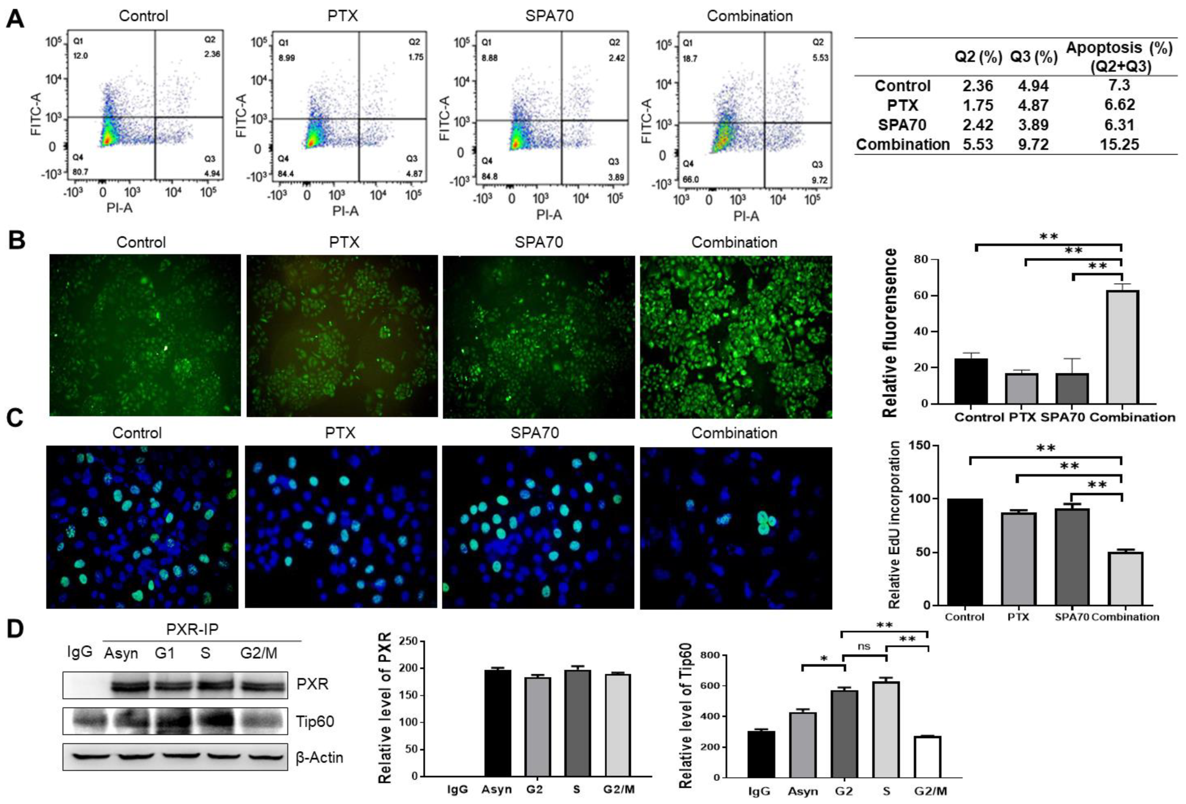 Cells 11 03094 g004 Cells 11 03094 g004