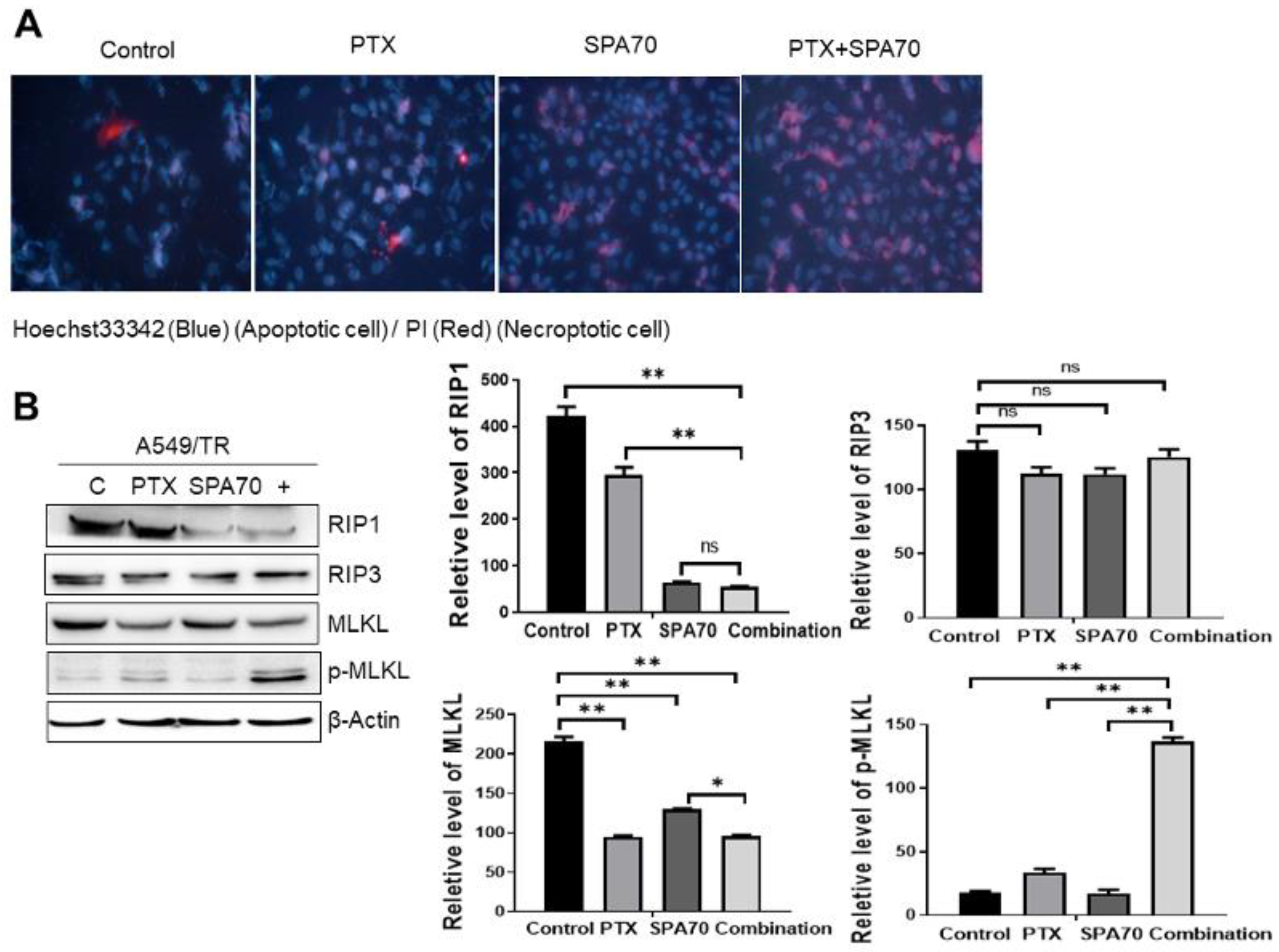 Cells 11 03094 g005 Cells 11 03094 g005
