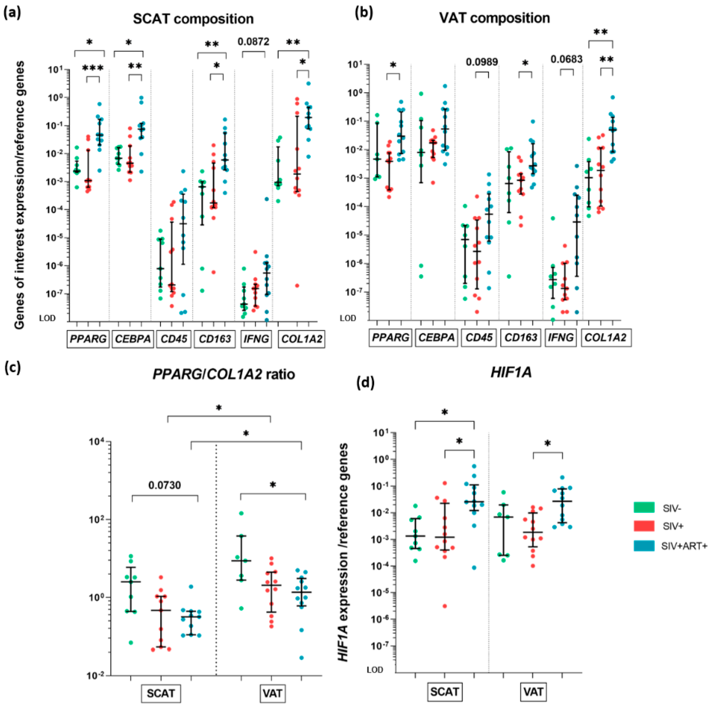 Cells 11 03104 g002 Cells 11 03104 g002