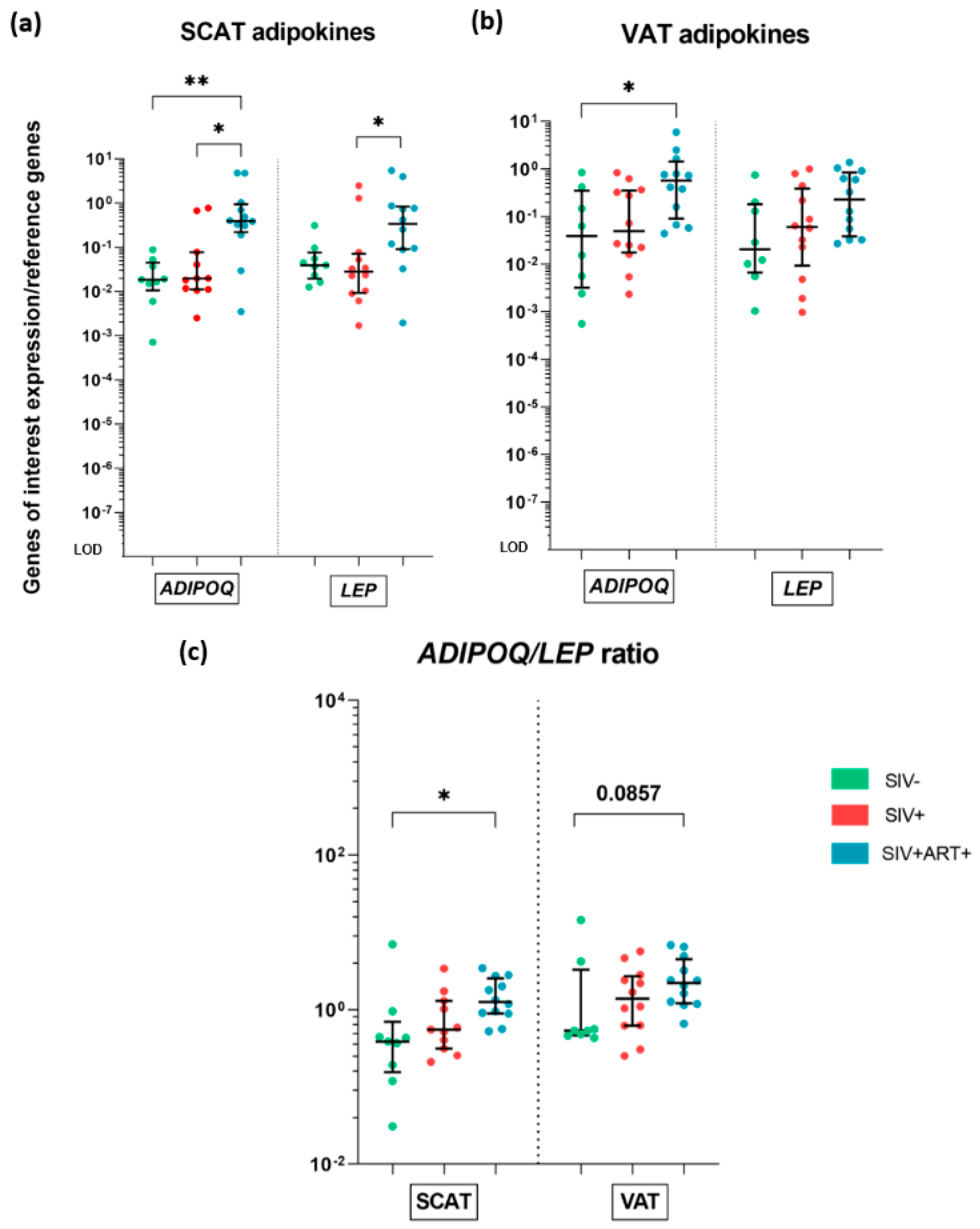 Cells 11 03104 g003 Cells 11 03104 g003