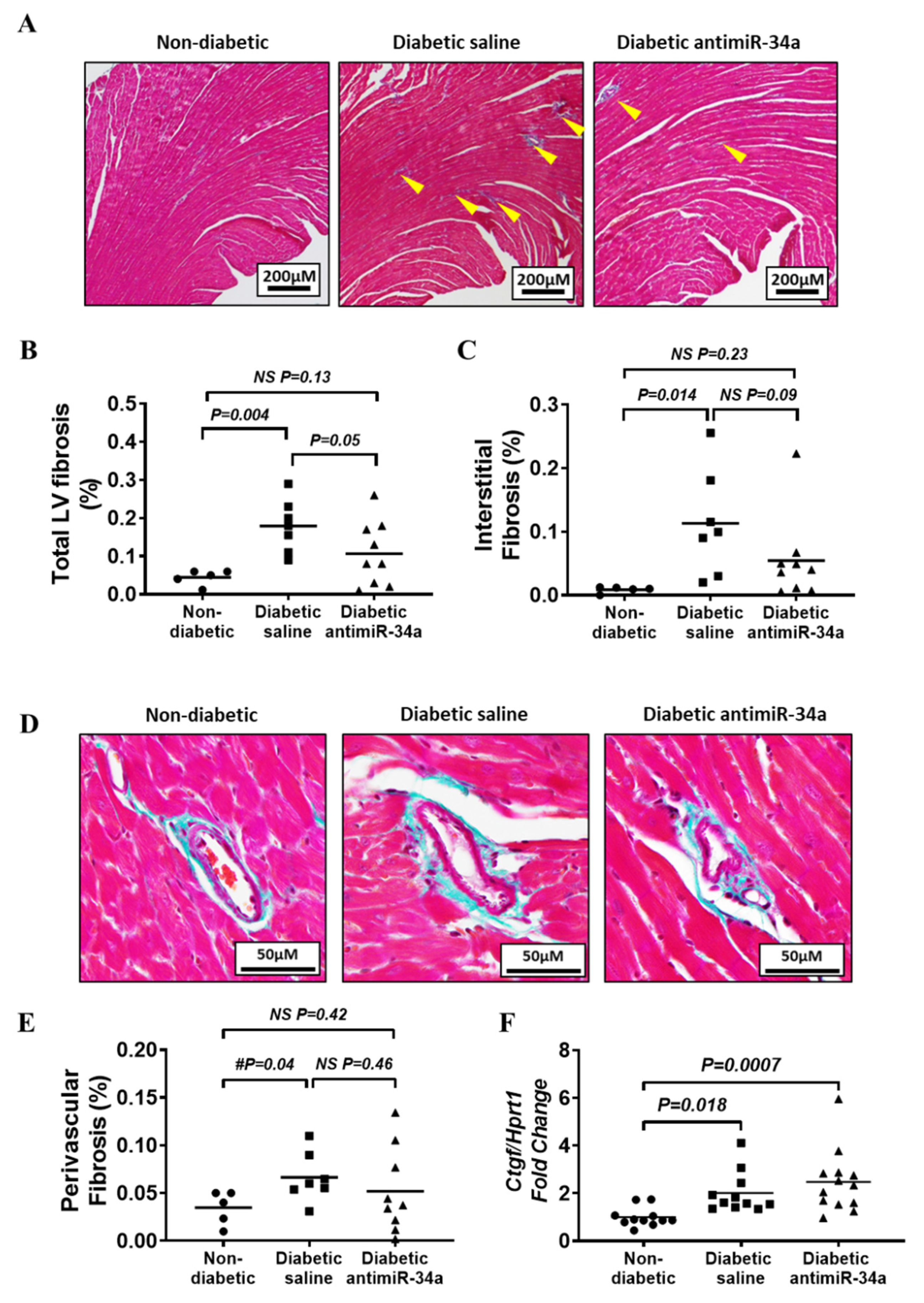 Cells 11 03117 g004 Cells 11 03117 g004