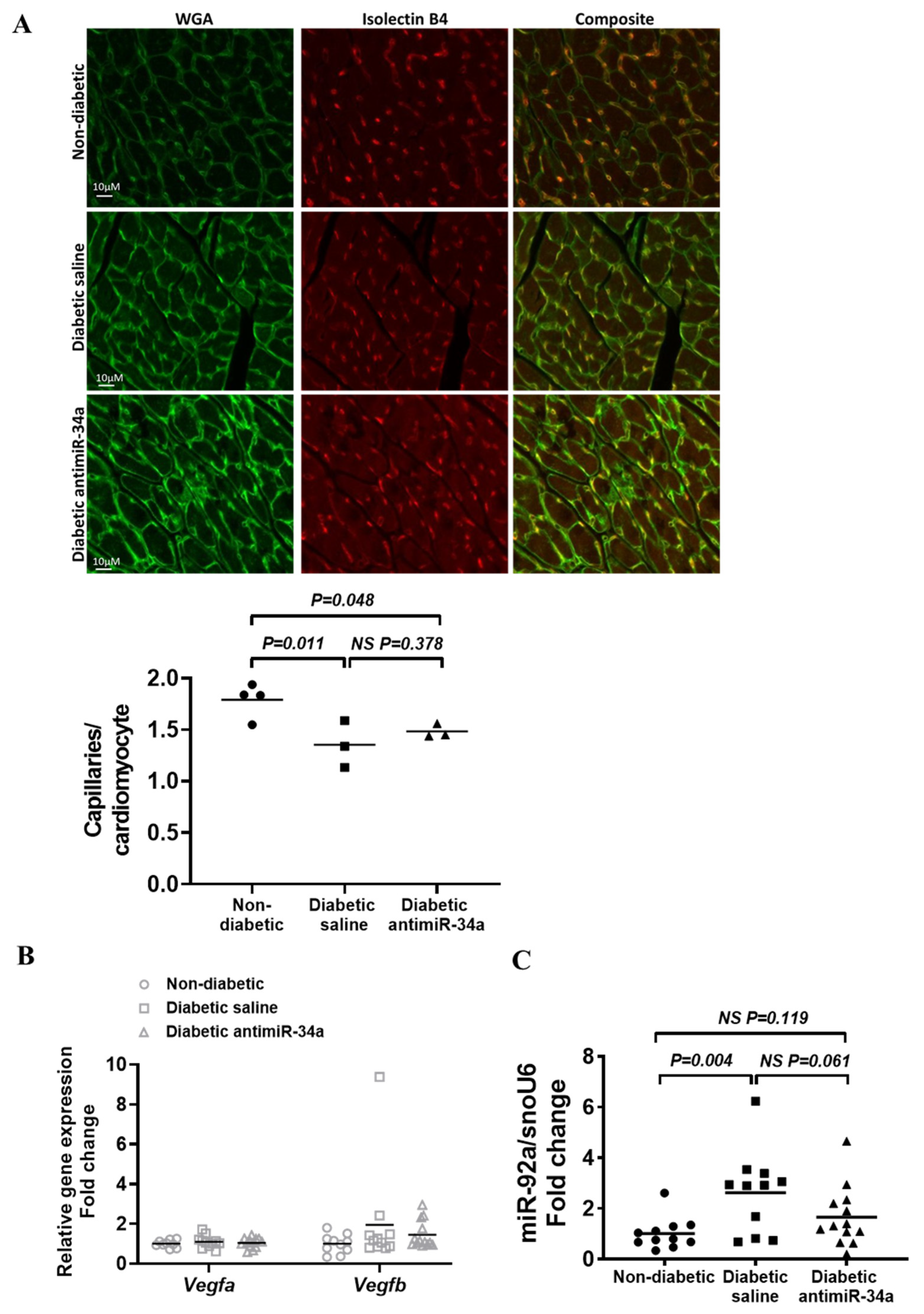 Cells 11 03117 g005 Cells 11 03117 g005