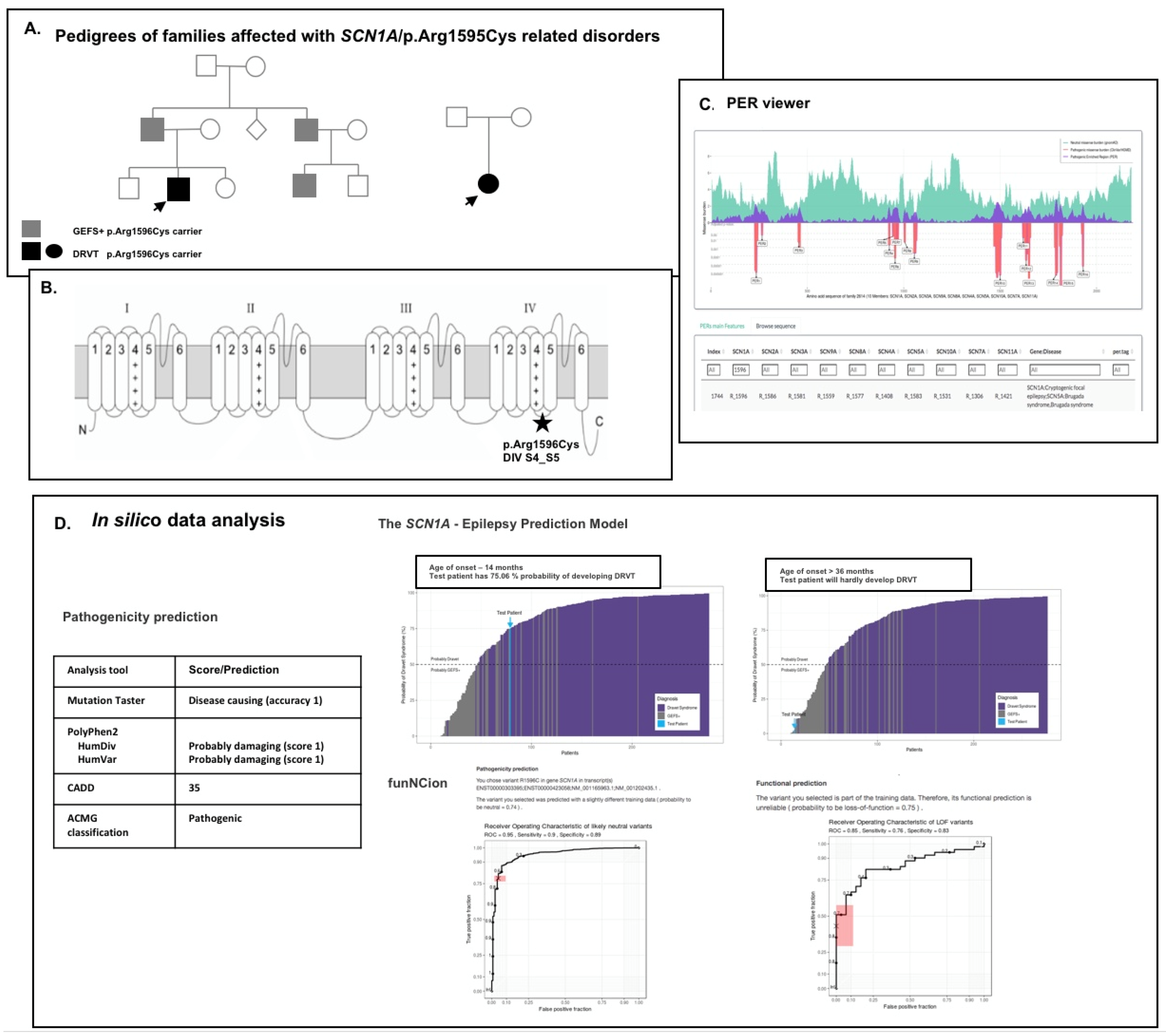 Cells 11 03119 g001 Cells 11 03119 g001