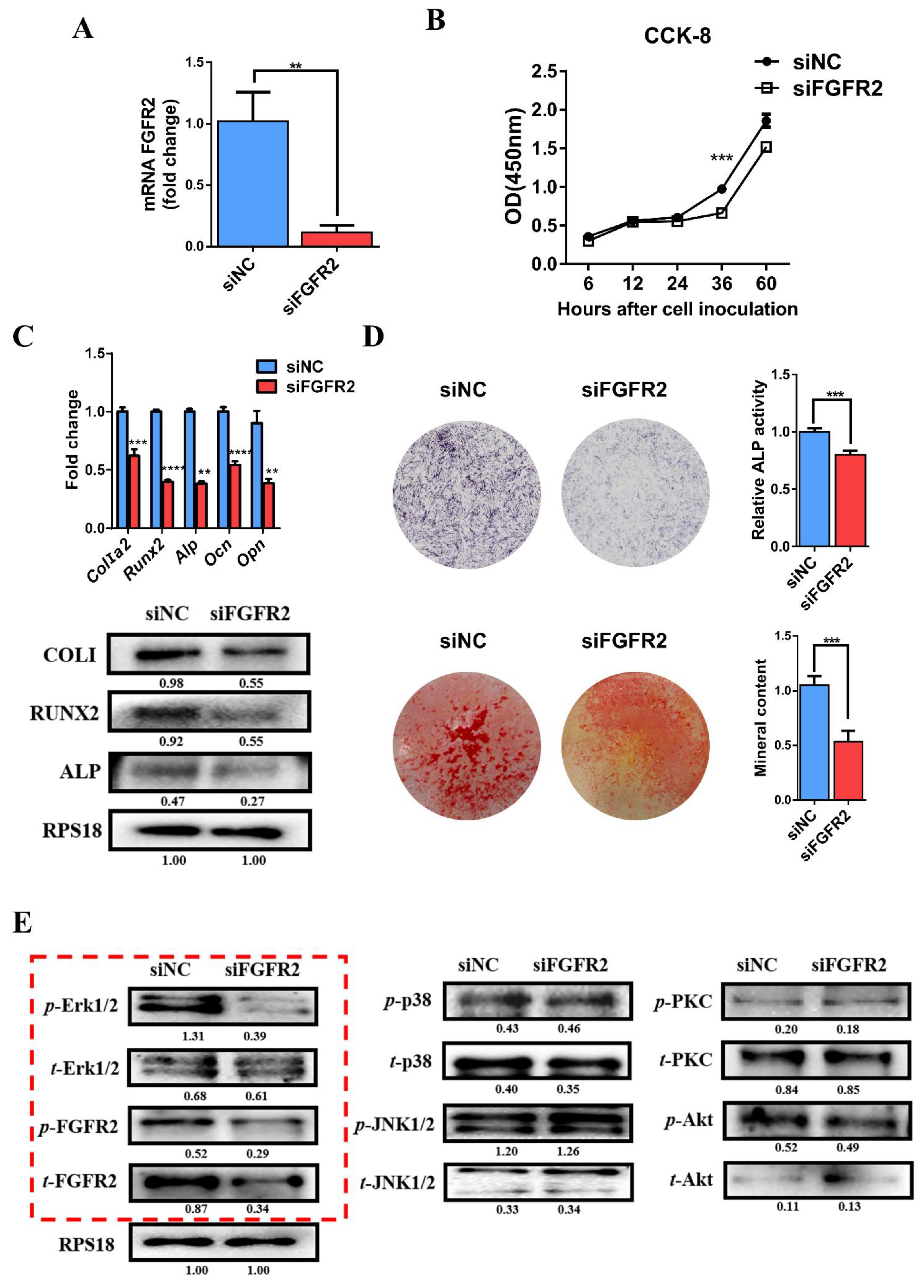 Cells 11 03129 g003 Cells 11 03129 g003