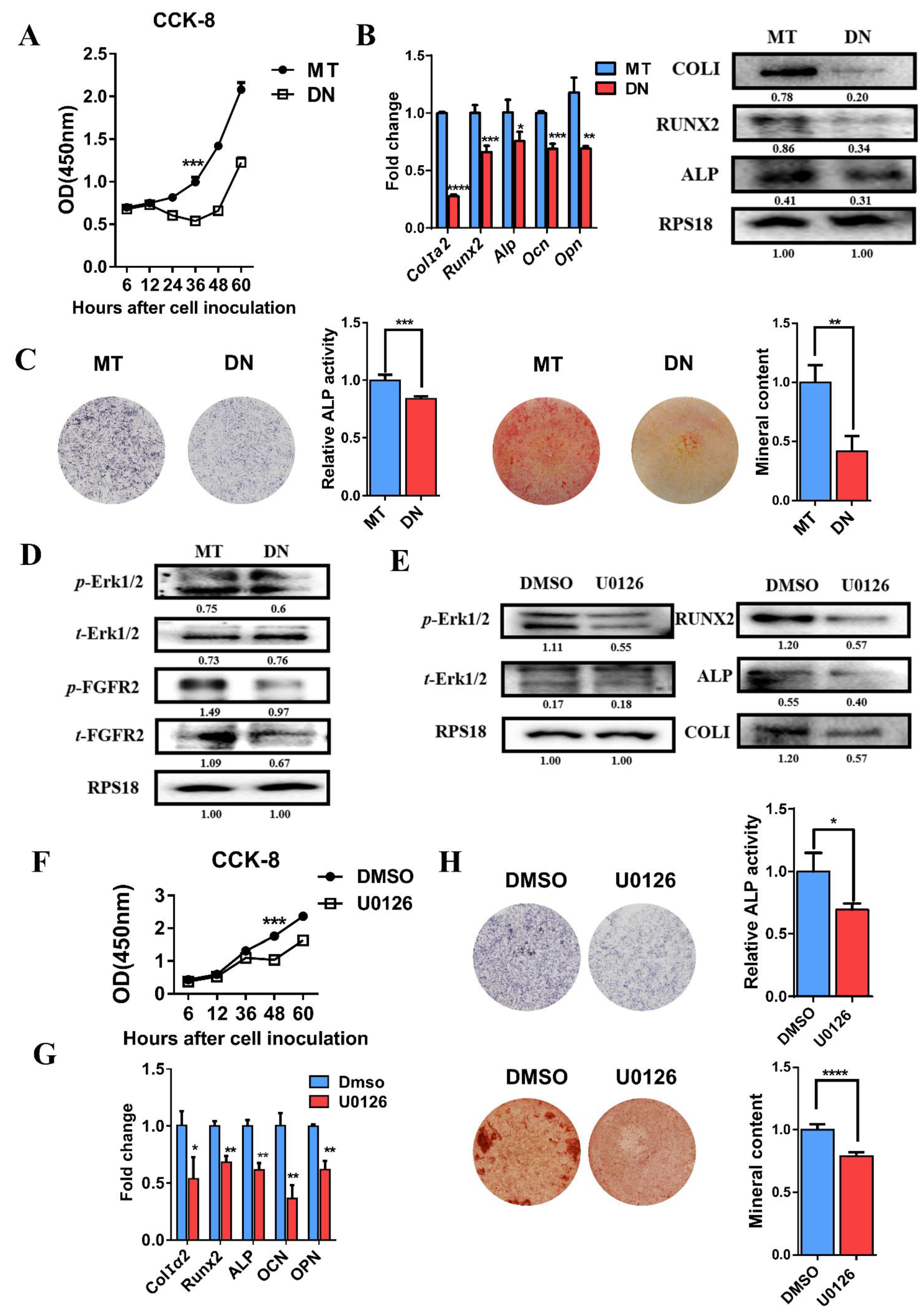 Cells 11 03129 g004 Cells 11 03129 g004