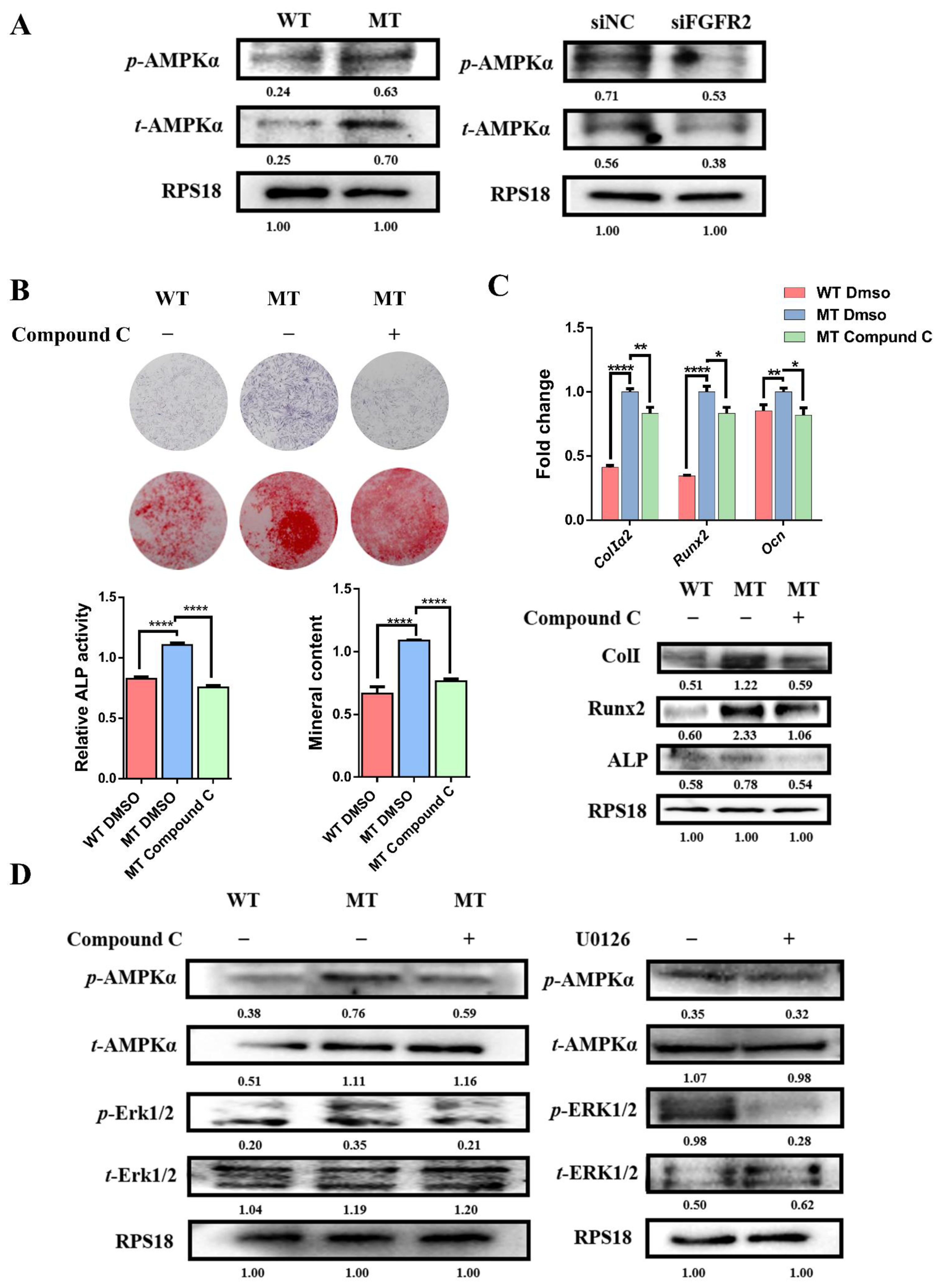 Cells 11 03129 g005 Cells 11 03129 g005