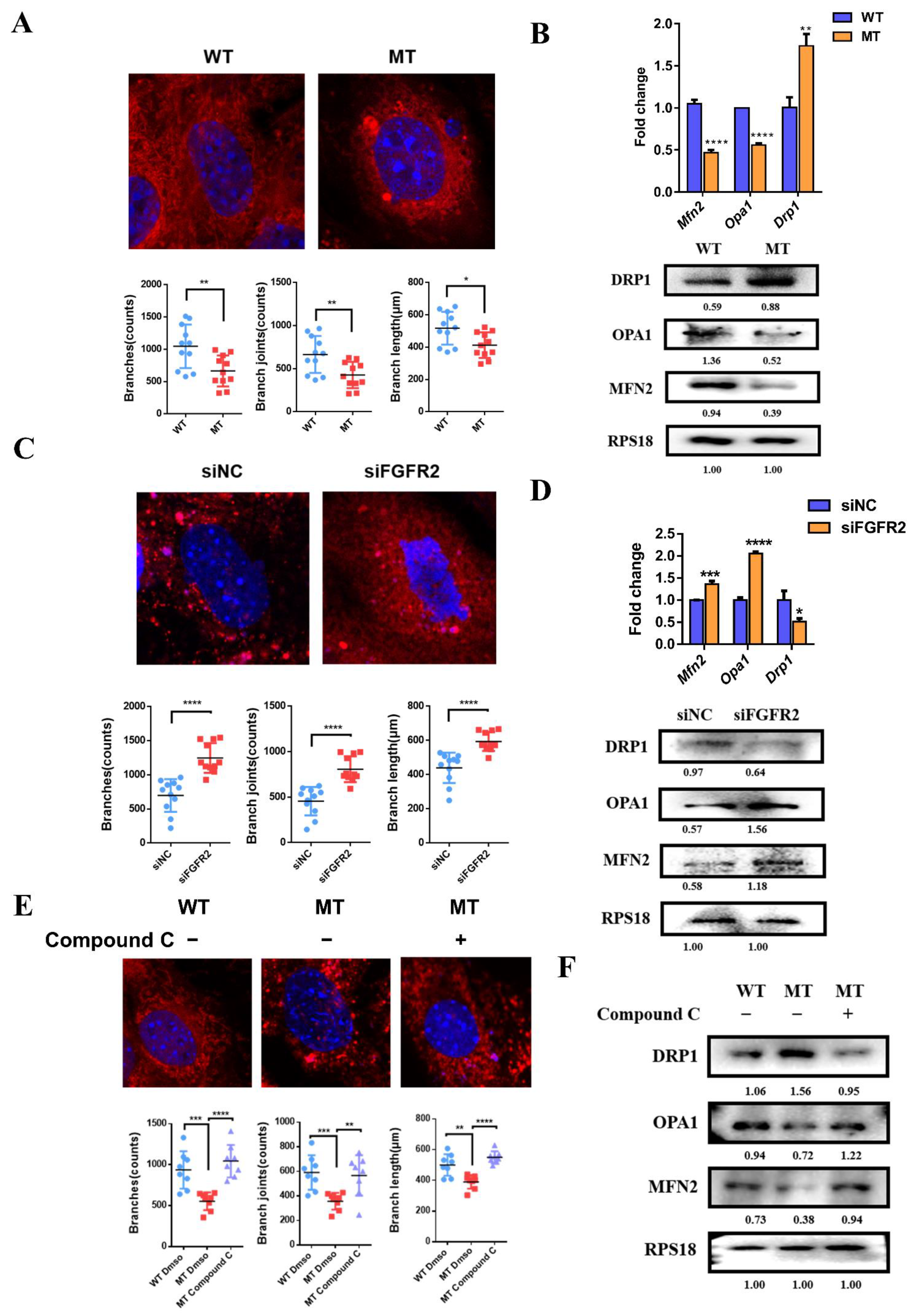 Cells 11 03129 g007 Cells 11 03129 g007