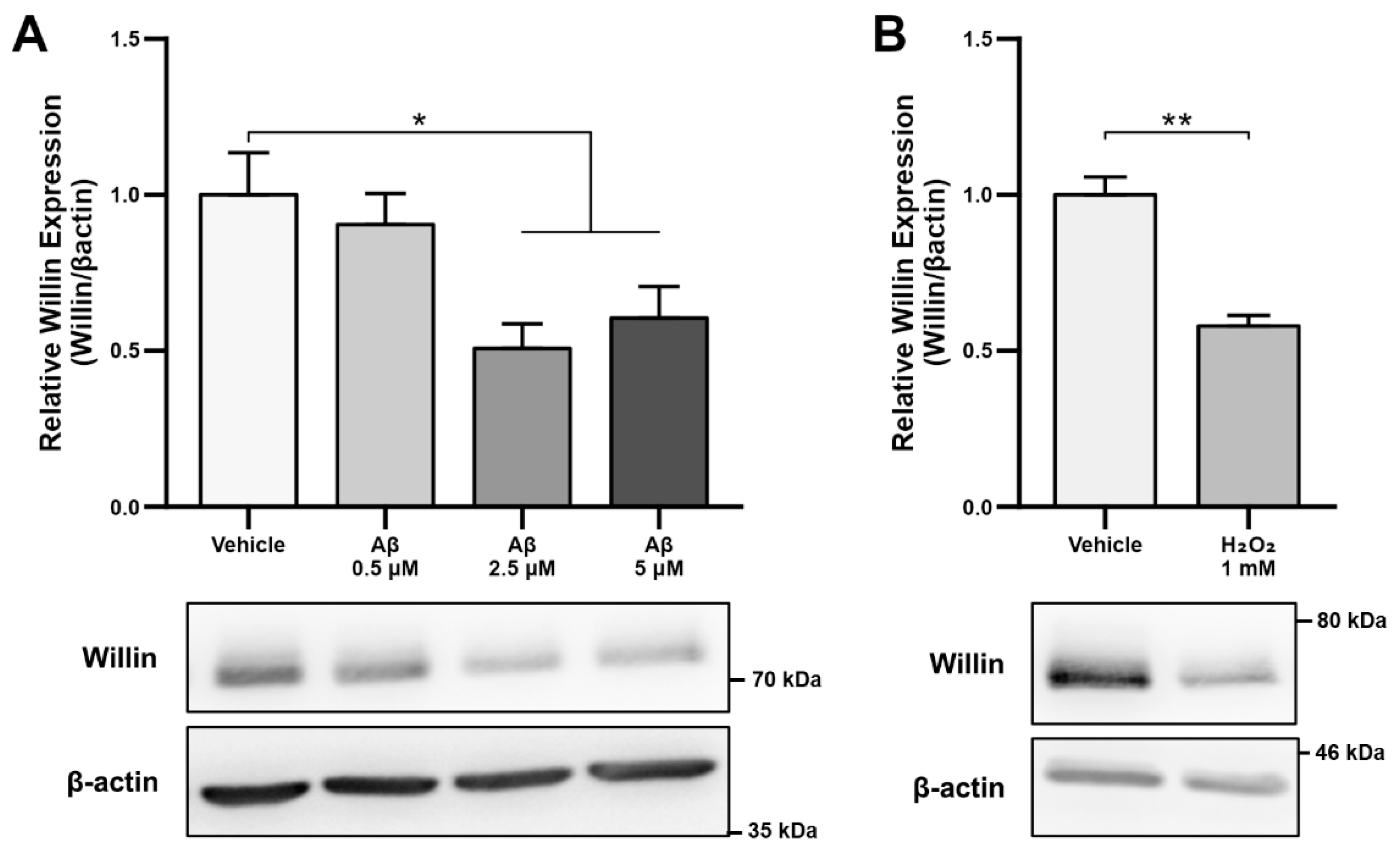Cells 11 03140 g001a