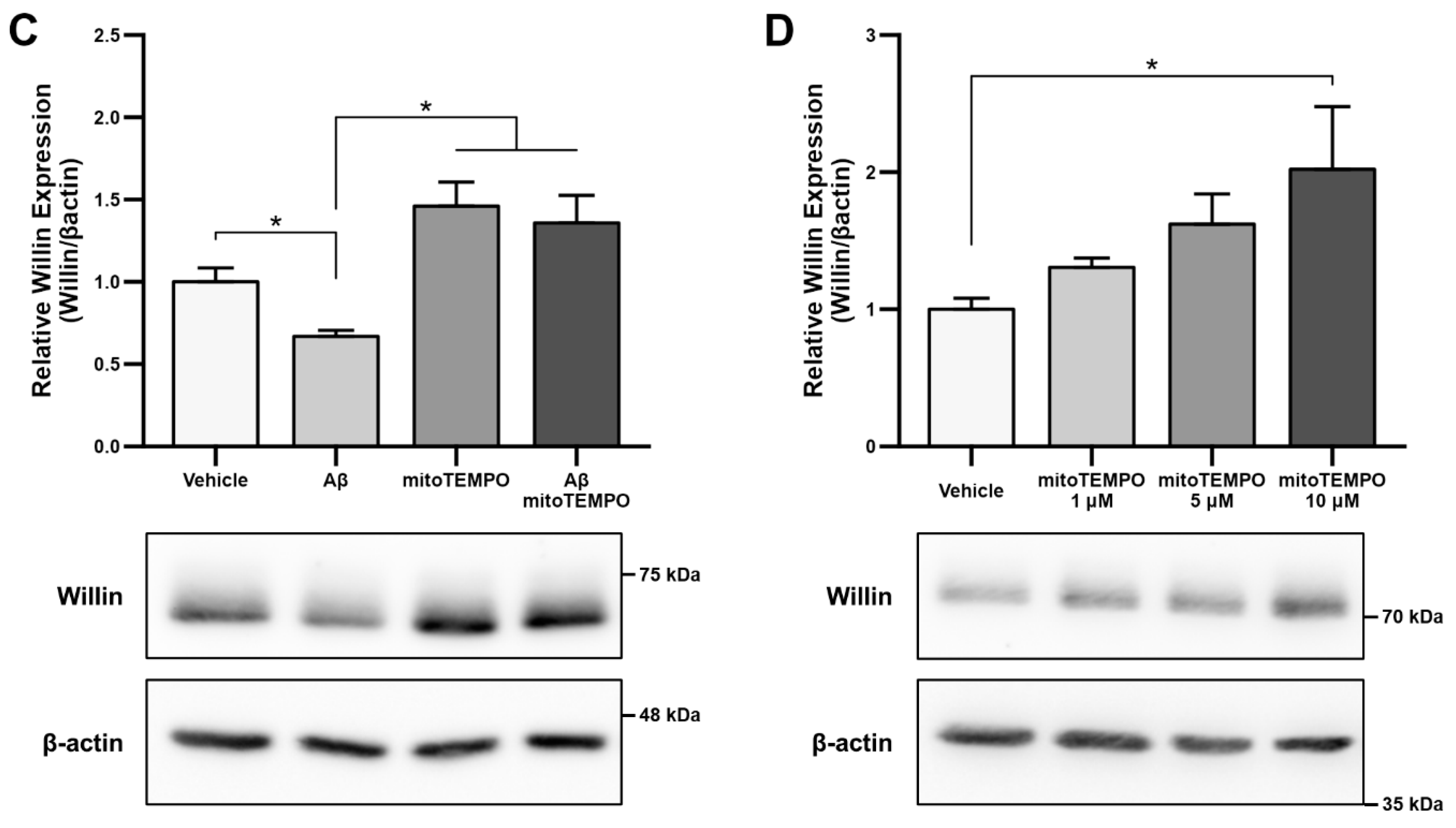 Cells 11 03140 g001b