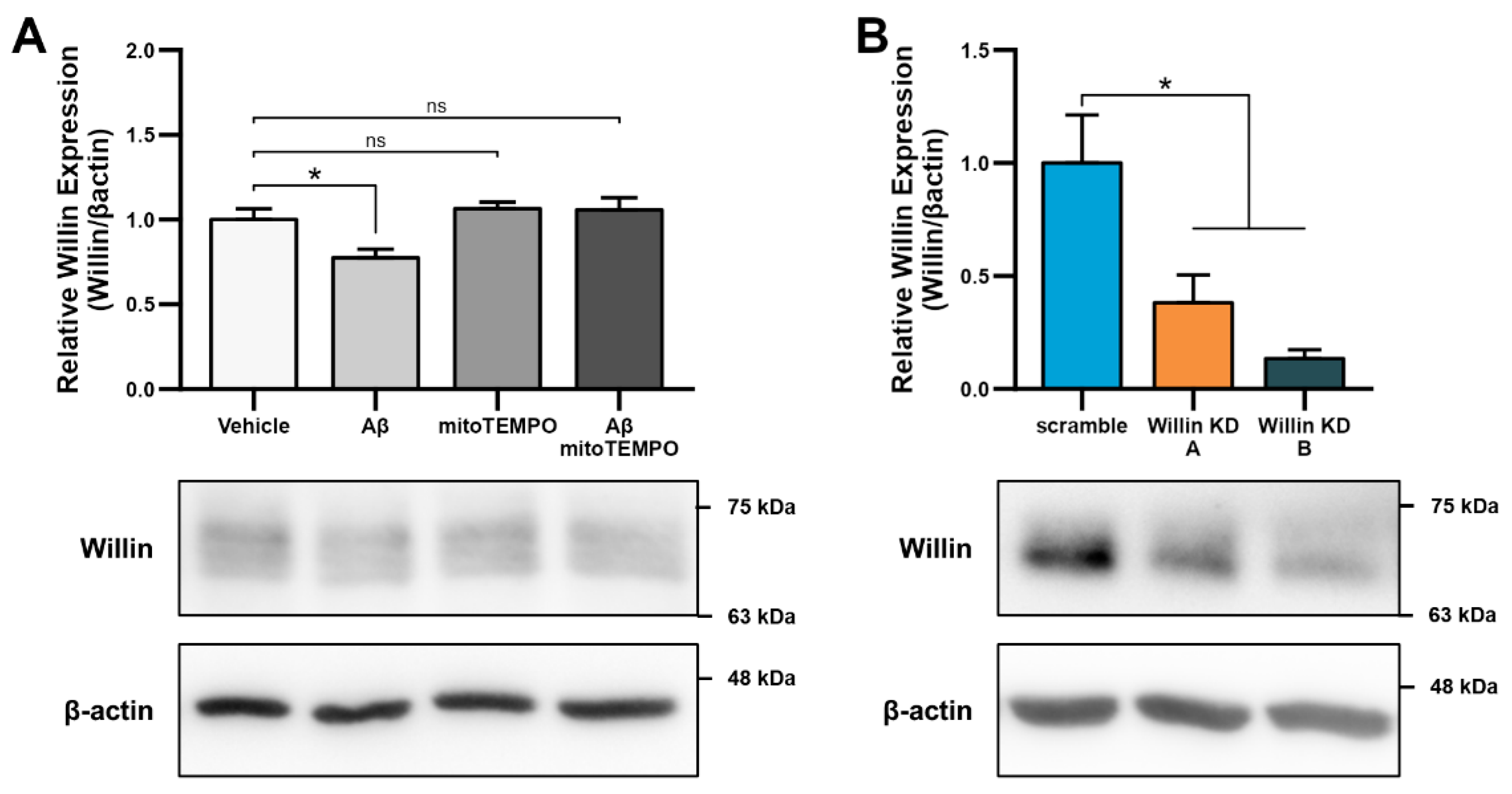 Cells 11 03140 g005a