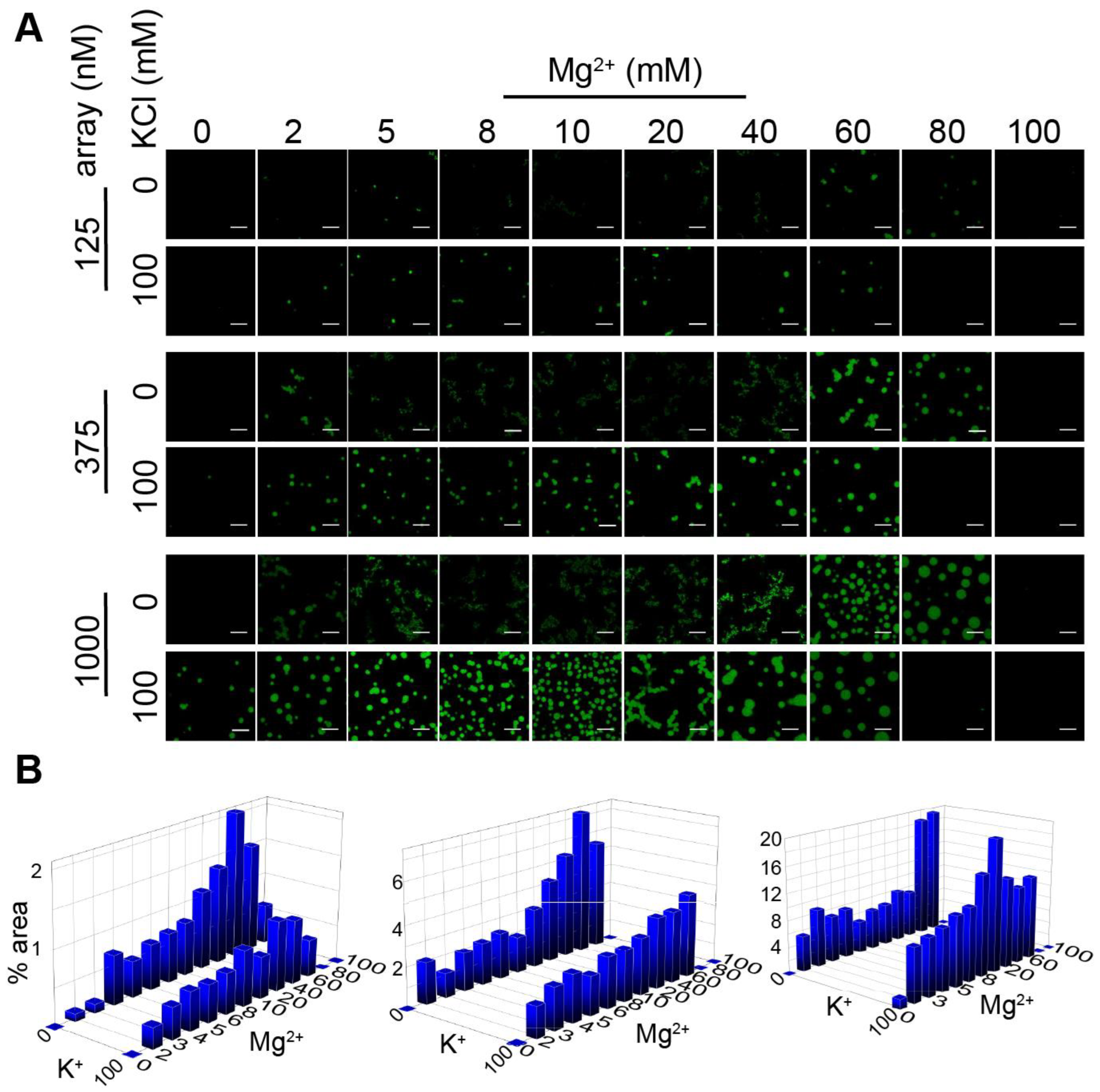 Cells 11 03145 g001 Cells 11 03145 g001
