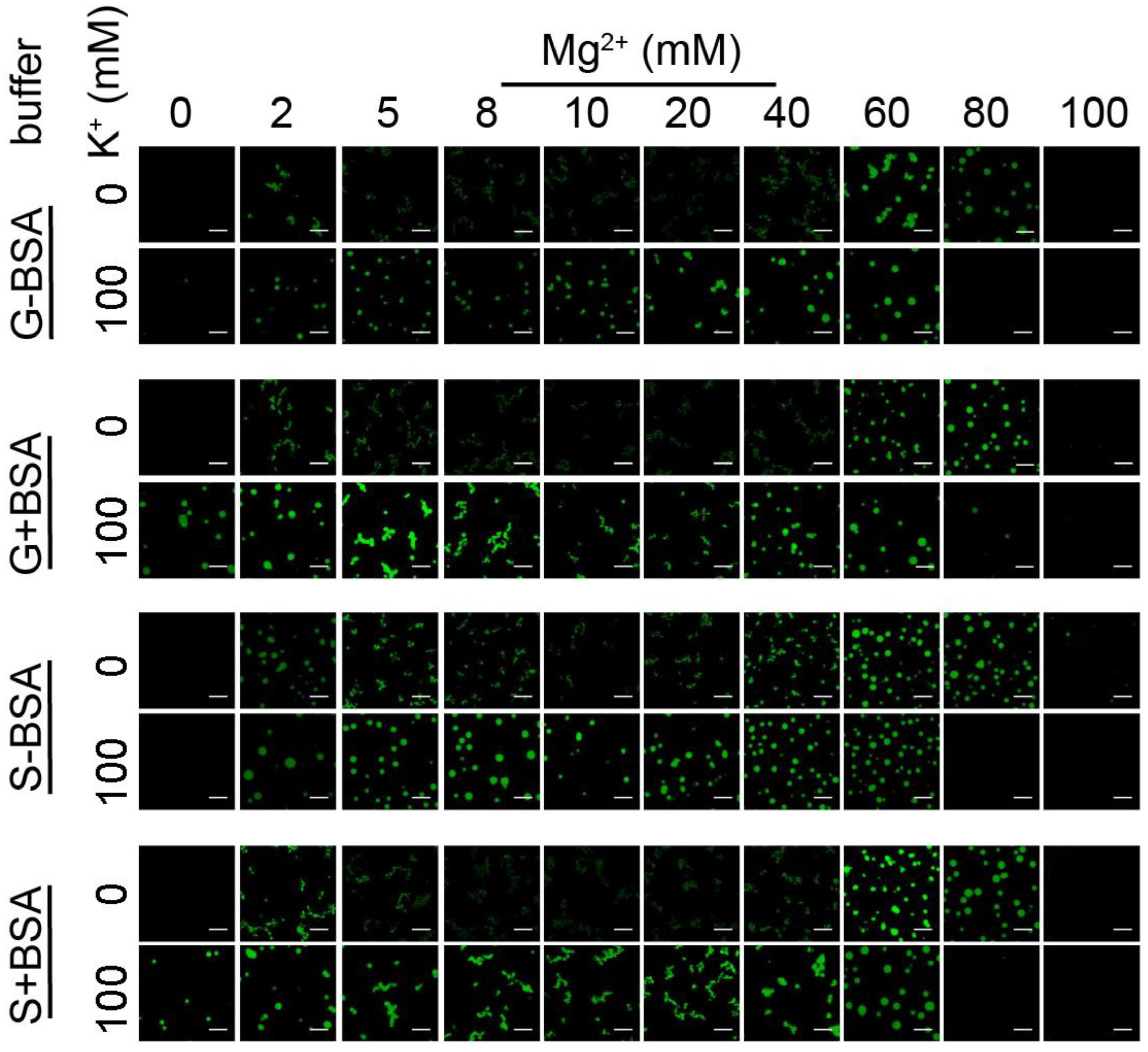 Cells 11 03145 g002 Cells 11 03145 g002