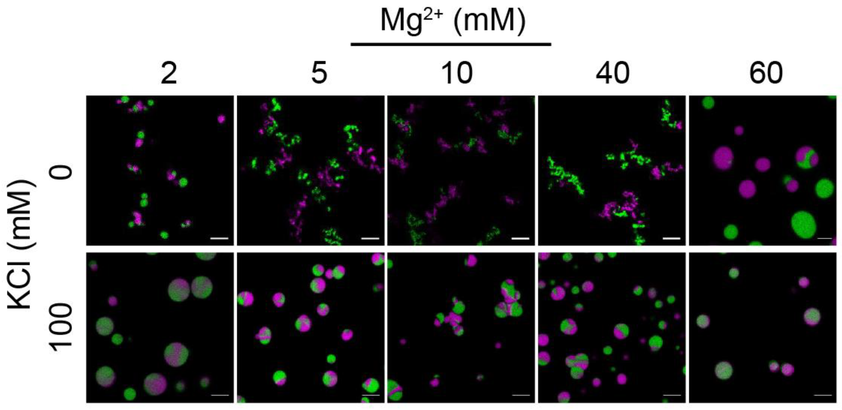 Cells 11 03145 g003 Cells 11 03145 g003