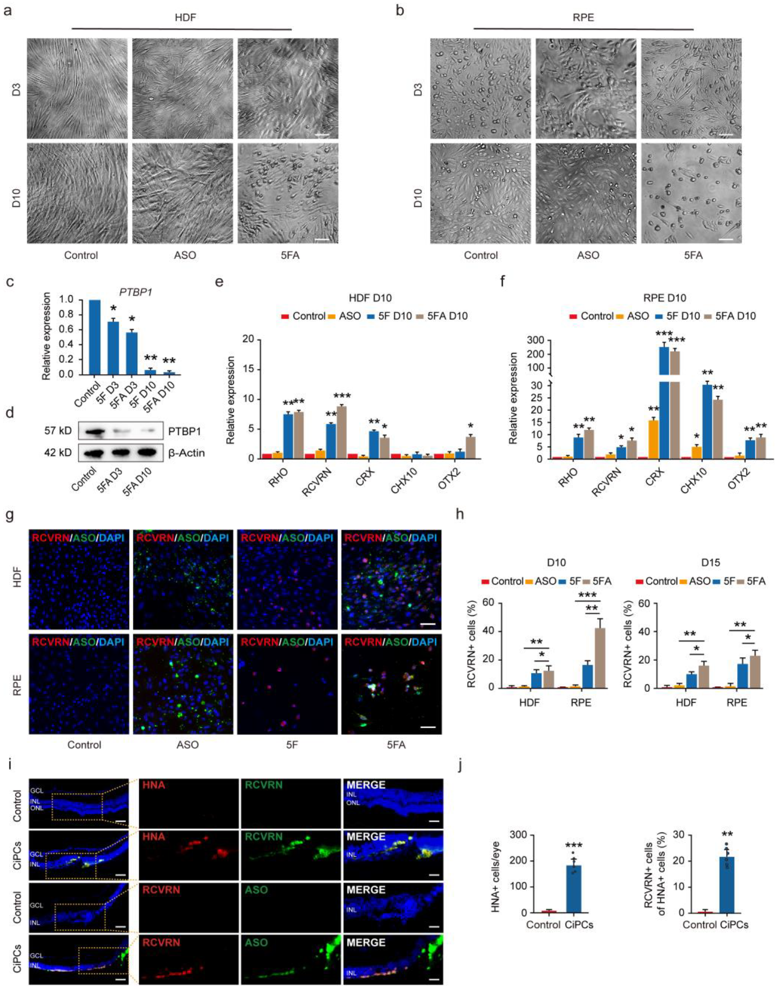 Cells 11 03146 g002 Cells 11 03146 g002
